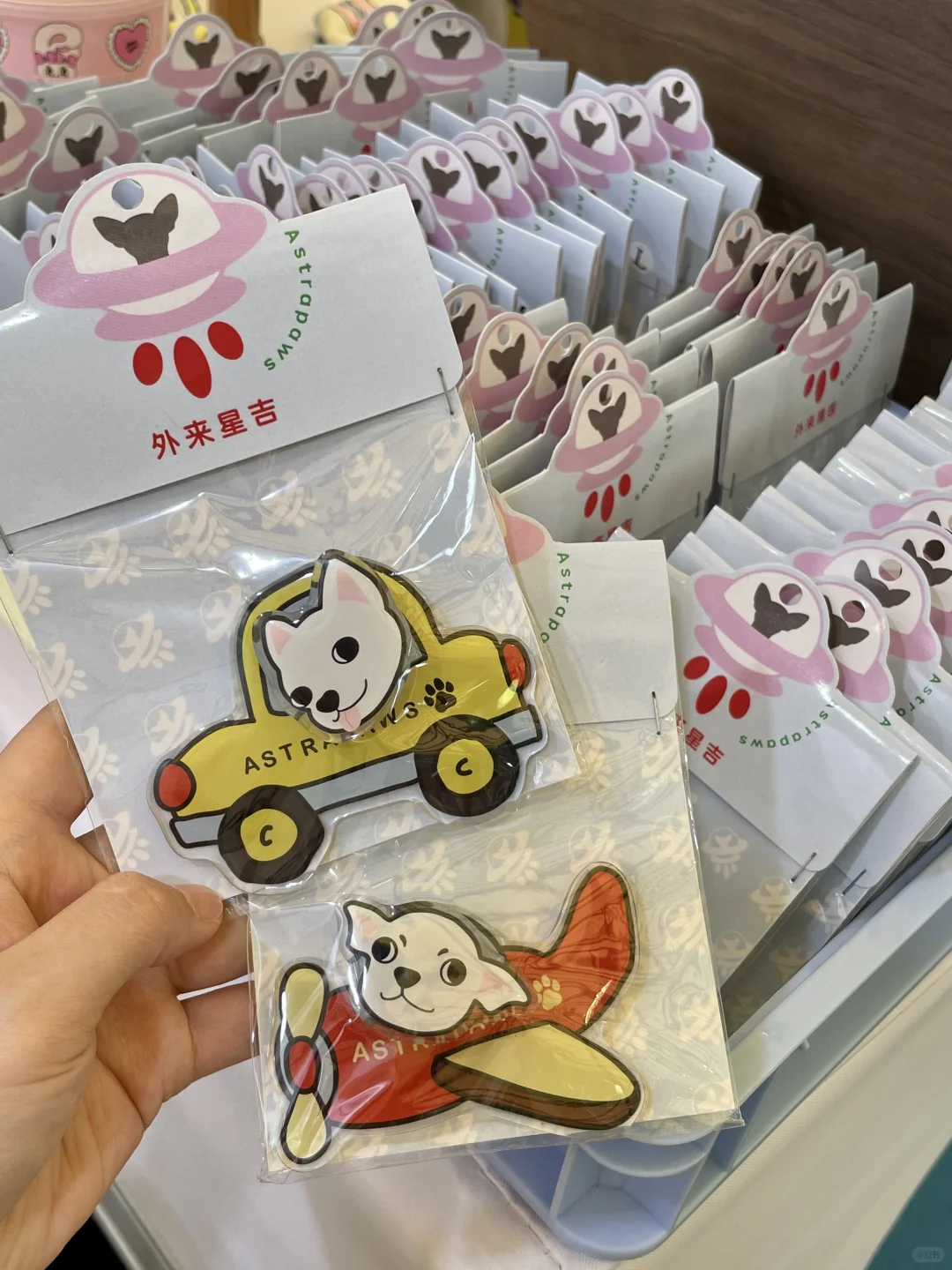 亚宠展结束了?主理人专区展商来总结