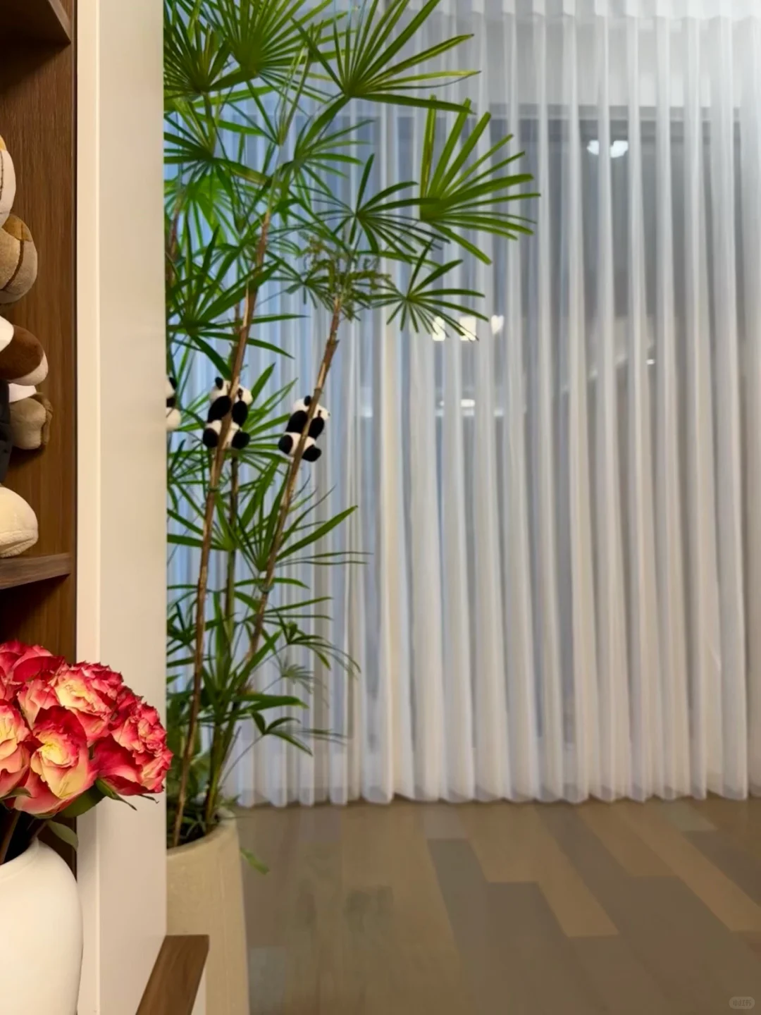 搞完卫生舒坦了，房子是载体，心安即是归处