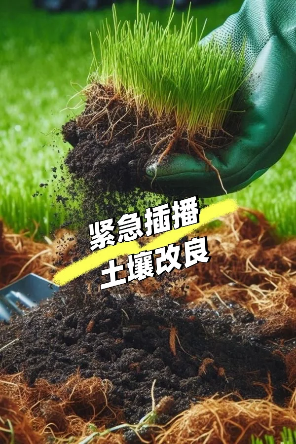 【紧急插播】栽种前必看~土壤改良秘籍
