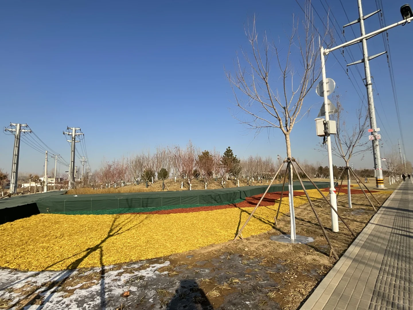 ?从污染源头到环保标杆