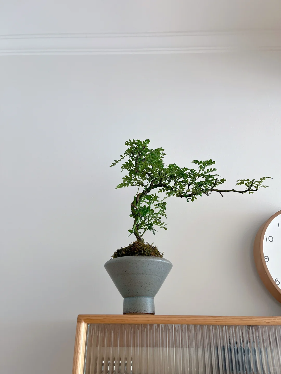 家净则心安|少物则心静