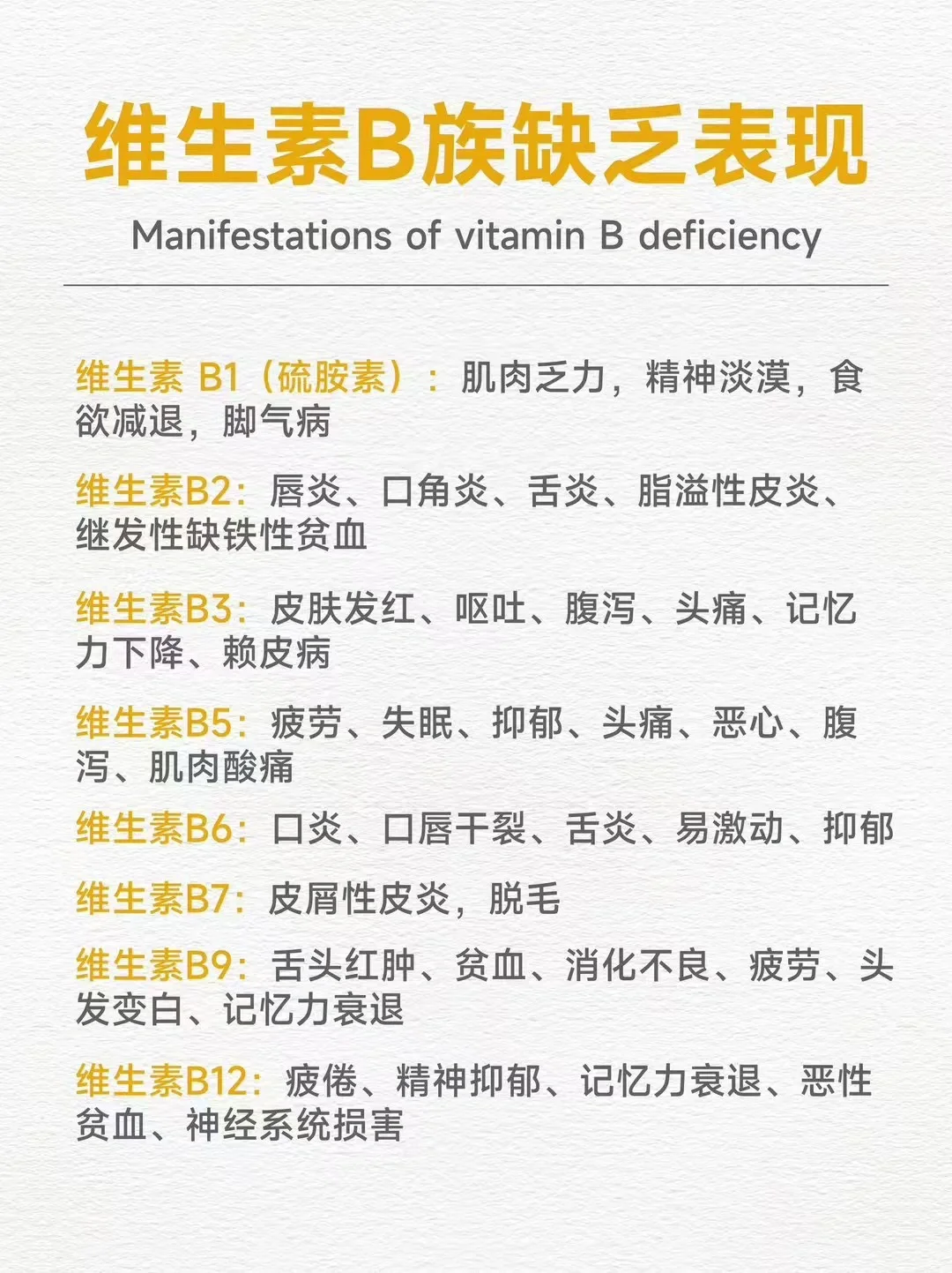 ✨ 维生素B族全攻略 | 你的健康守护者