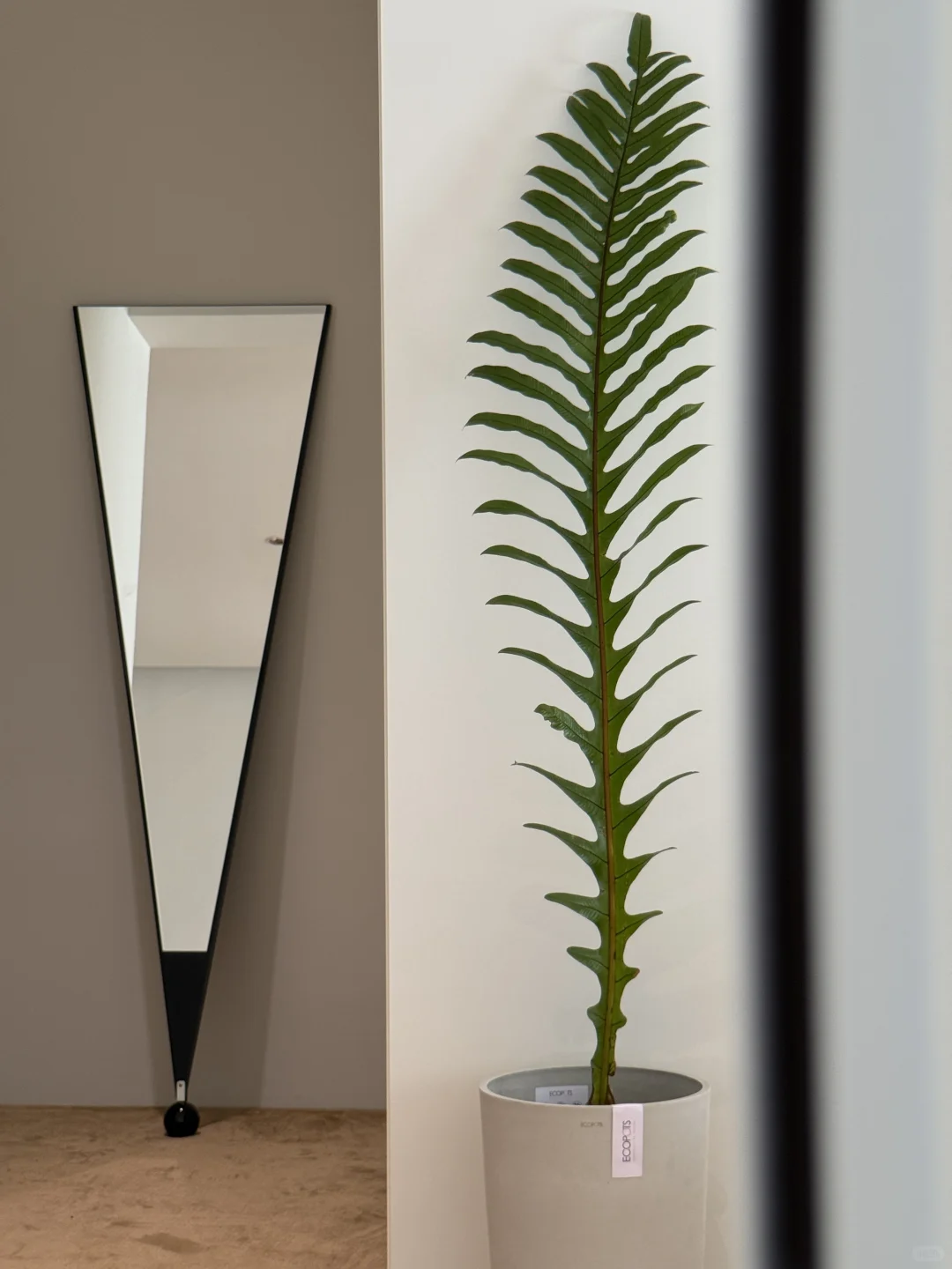 ?️砸墙重生：小四室到大一室的功能主义蜕变