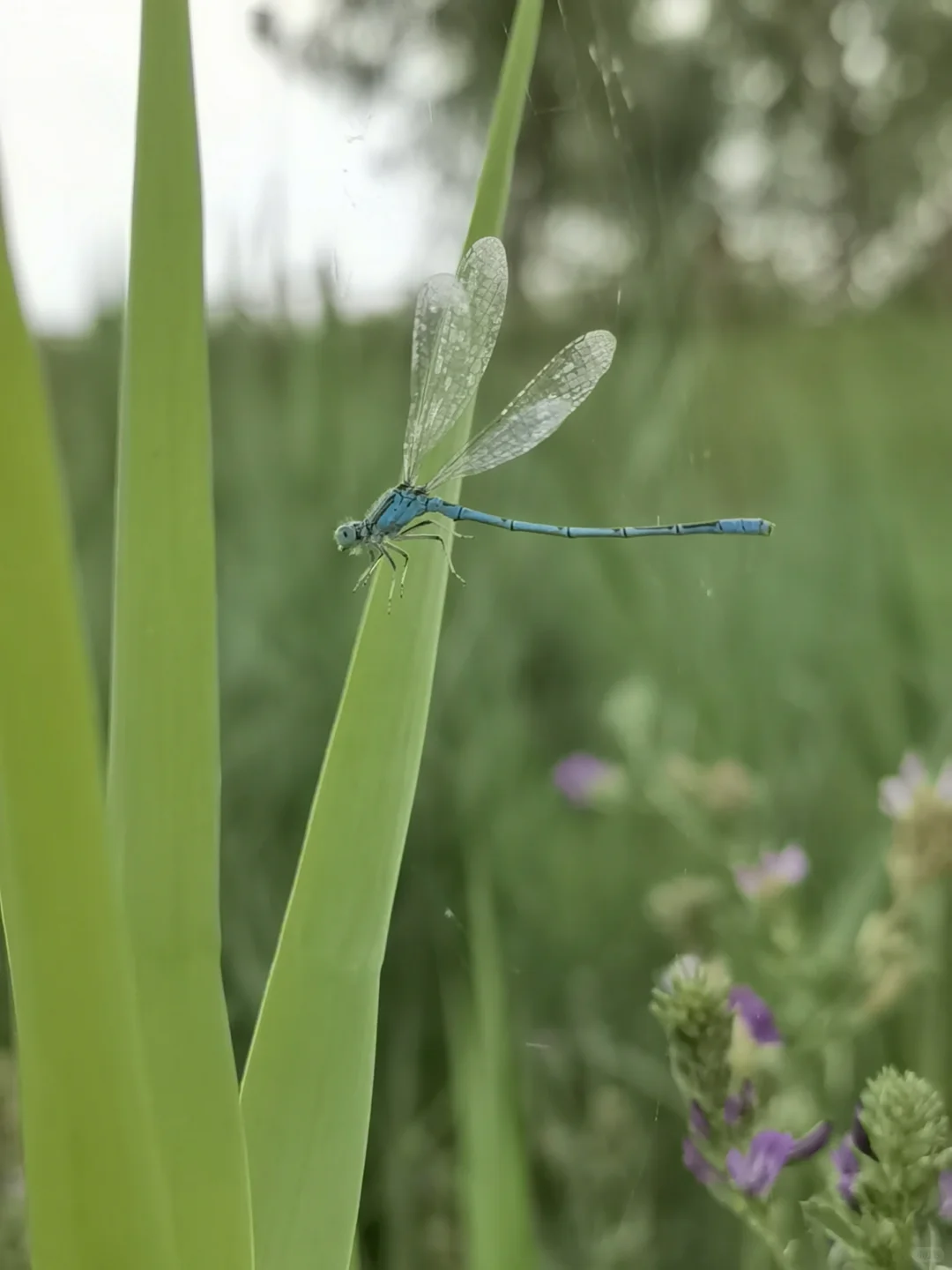 ✨随手写|自由与羁绊~
