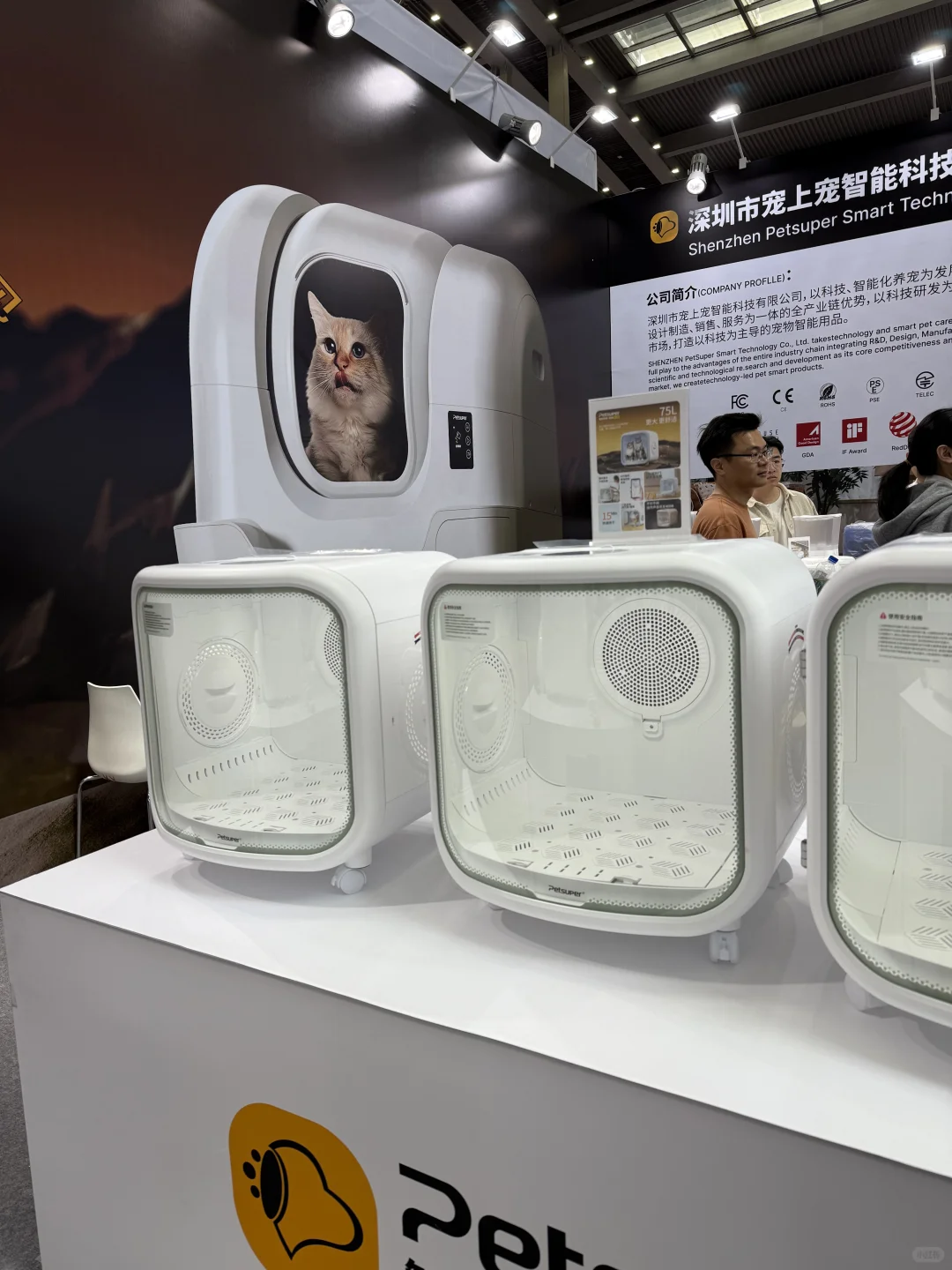 宠上宠在深宠展
