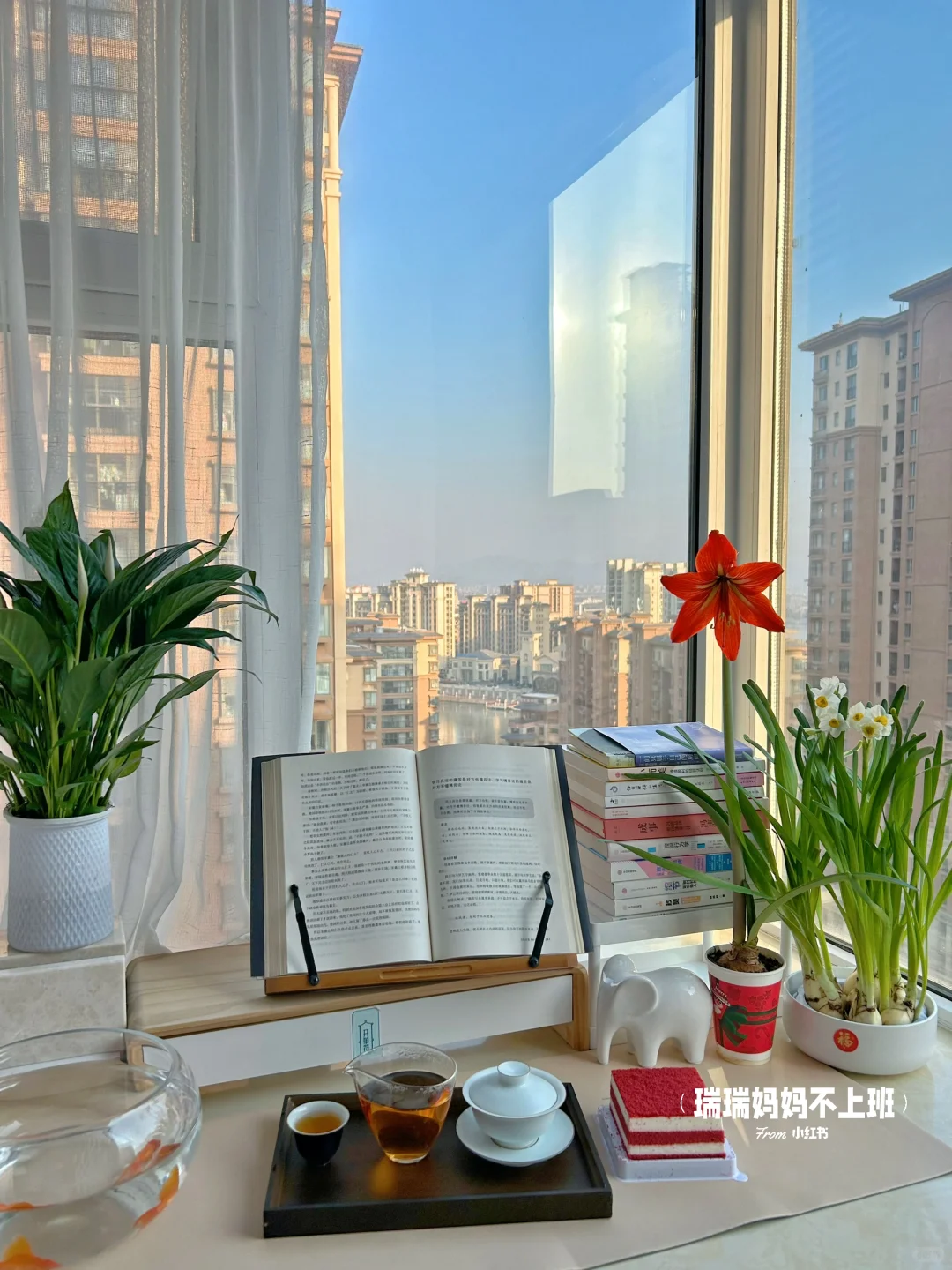 36岁,家是我的能量场,独处是灵魂的充电站✨