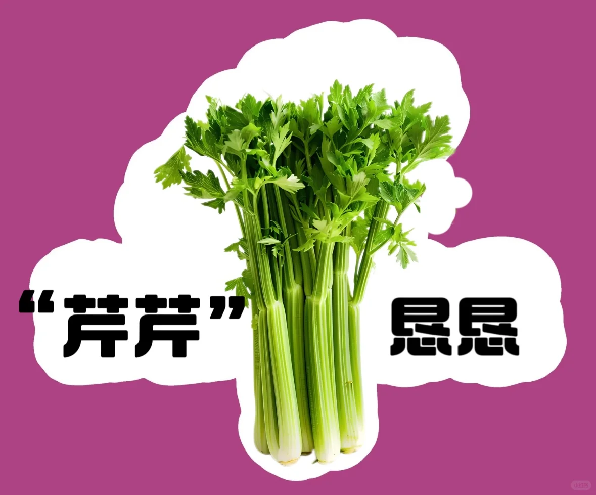 蔬菜谐音成语！超有趣~?