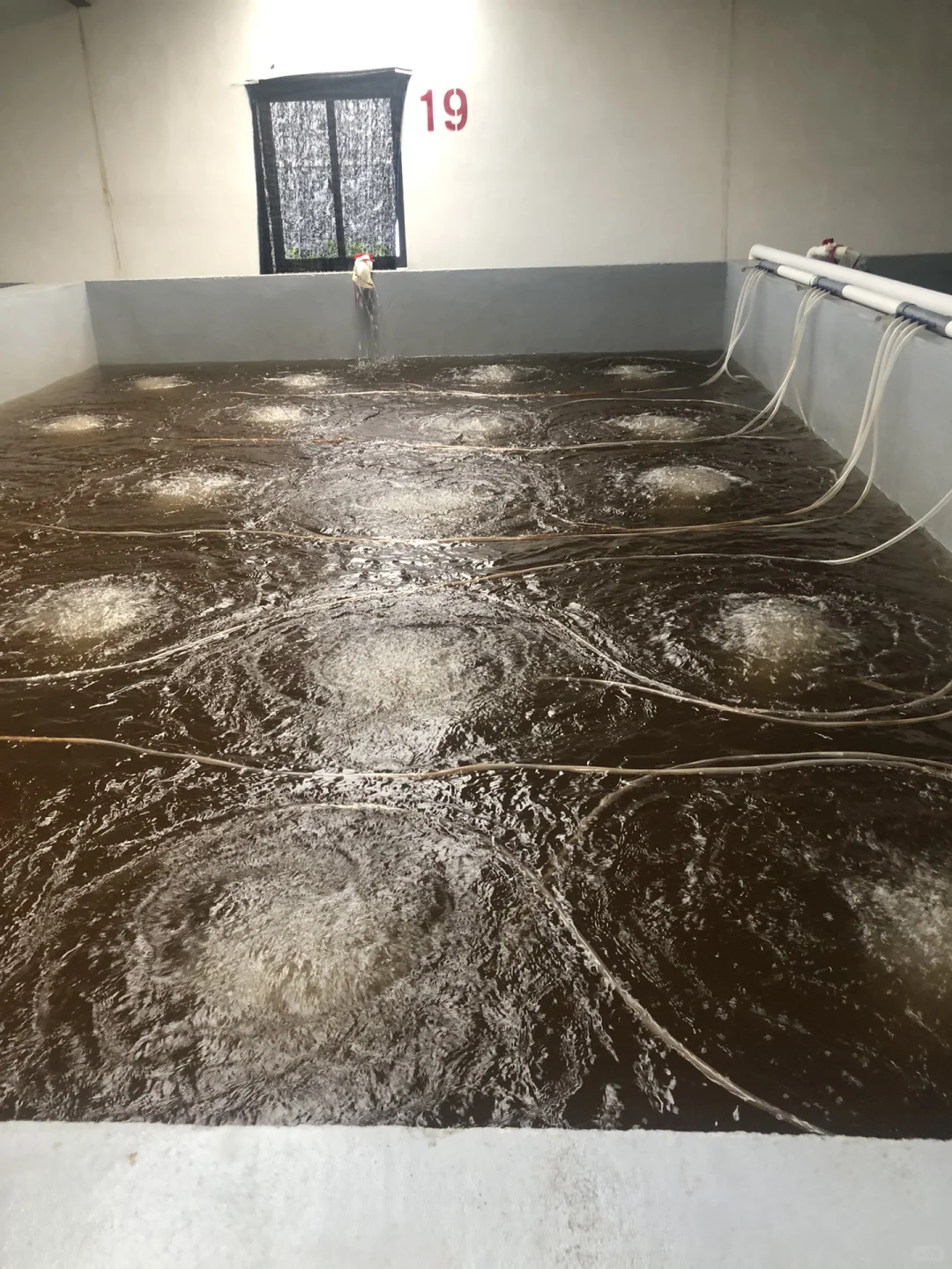 爸妈发家史之养殖业（1）