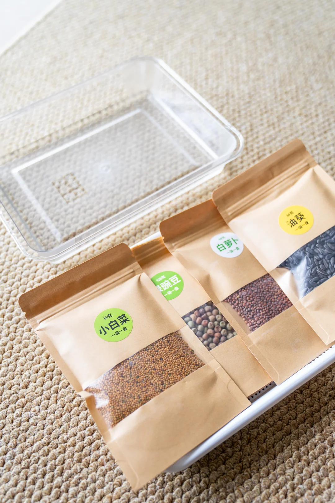 特别有趣的种植豆芽的小计划～