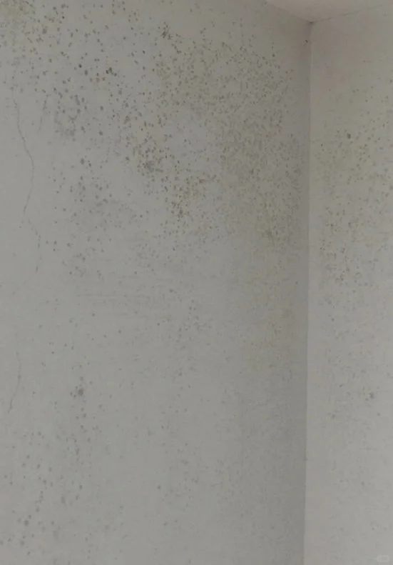 发霉到这种程度需要重新刷一遍墙吗