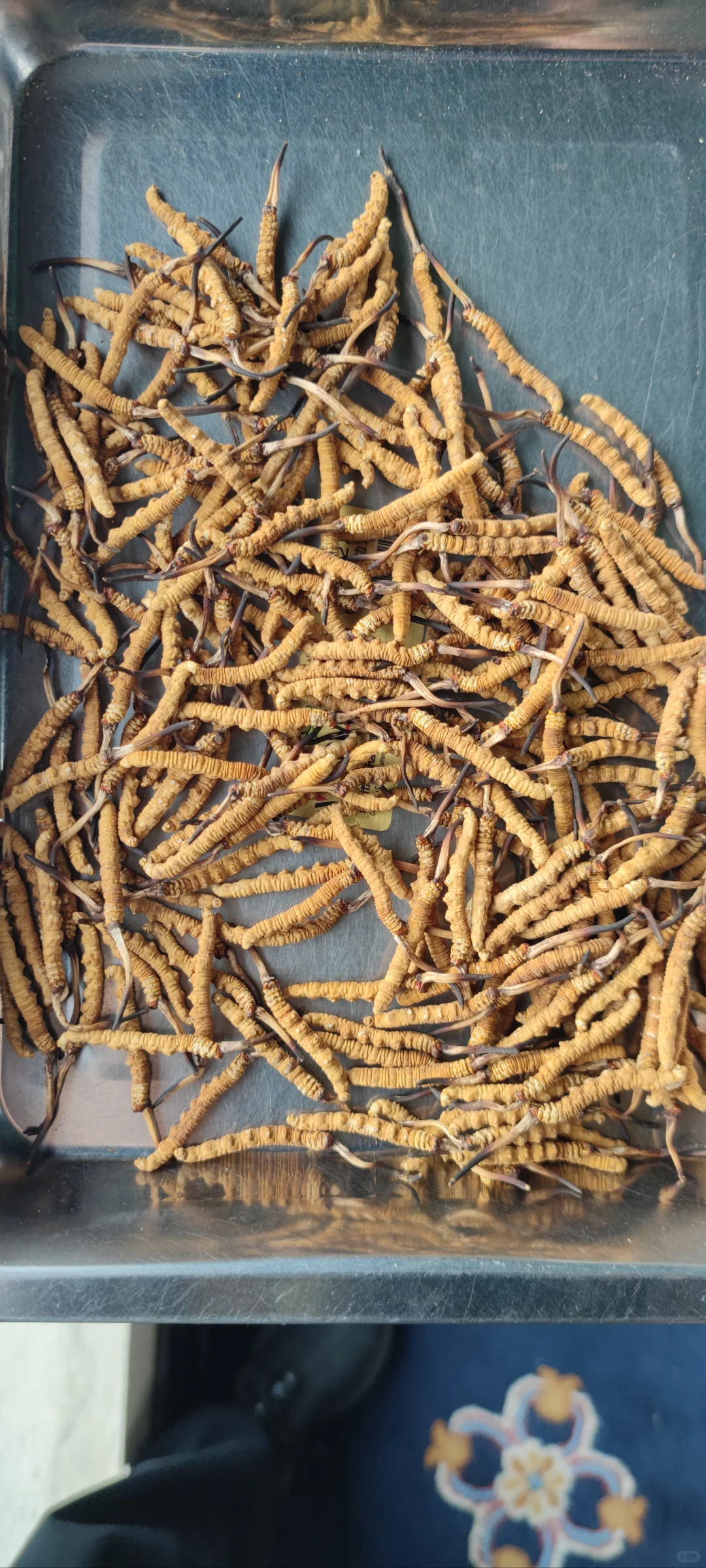 什么大草?为何选择大草