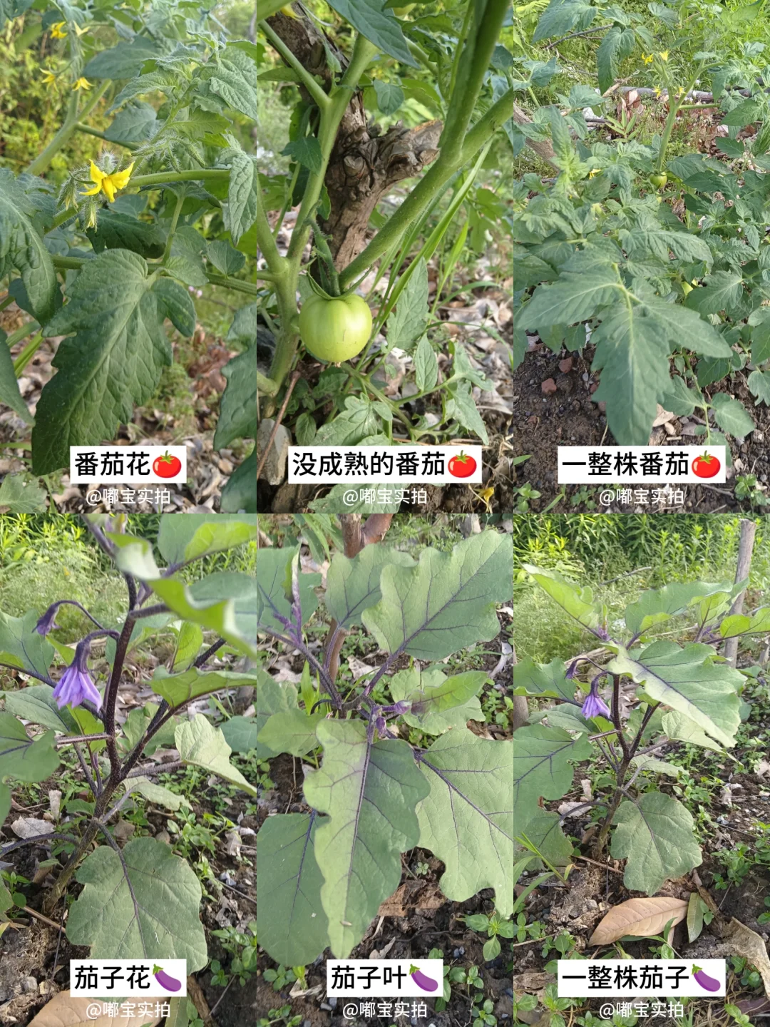 怕你们城里人没见过这些…