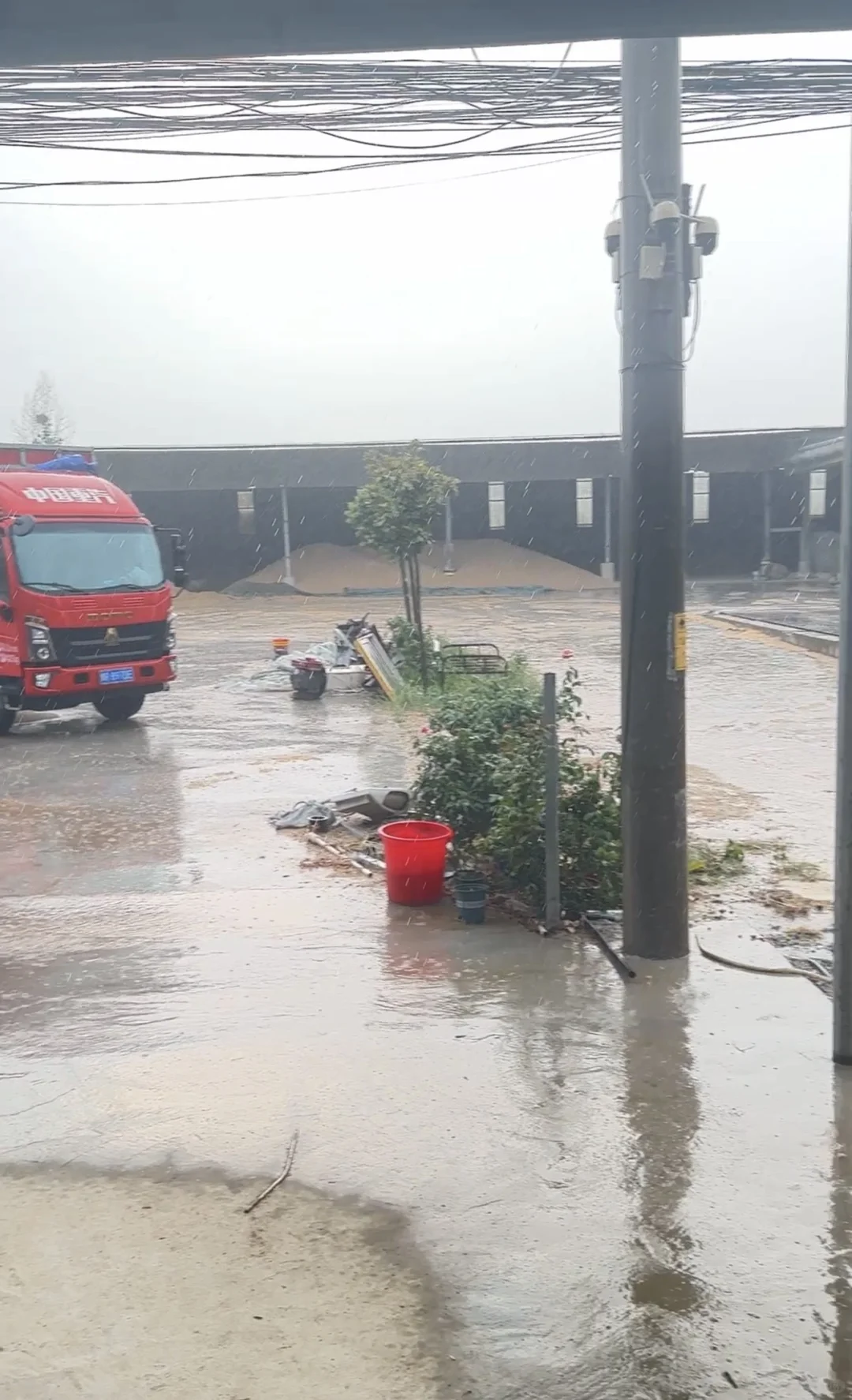 养殖碎玉米厂家