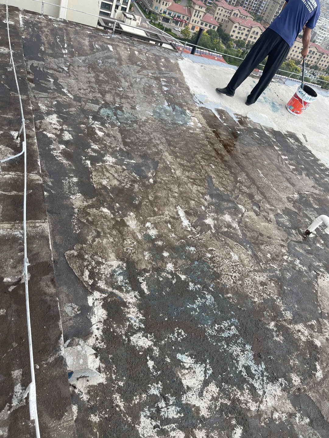 东方雨虹SBS卷材防水➕三棵树丙烯酸防水涂料