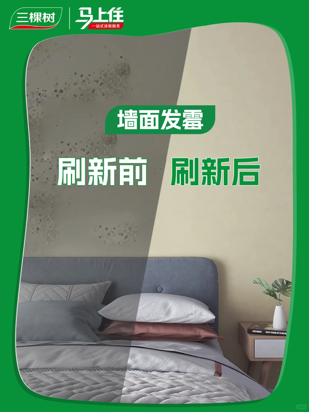 墙面问题就找三棵树马上住，8小时净味❗