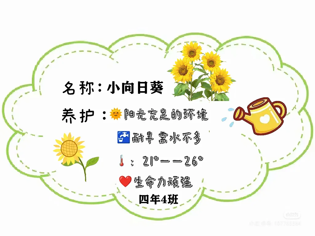 蔬菜养护招牌