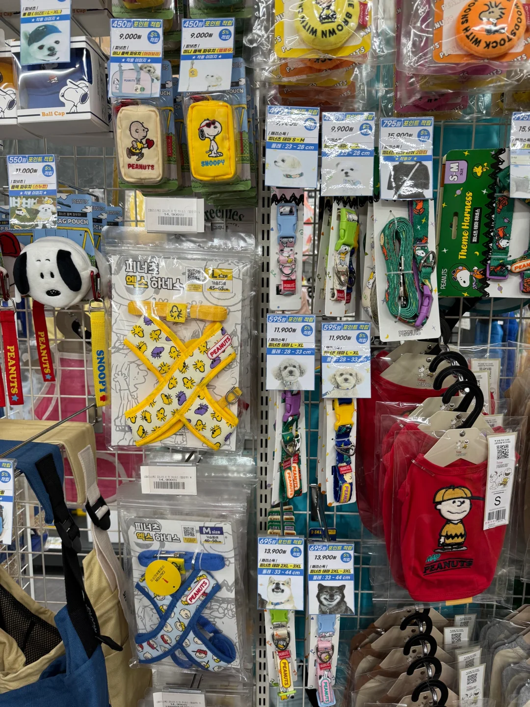 养狗人济州岛打猎攻略?勇闯?家店宠物店！