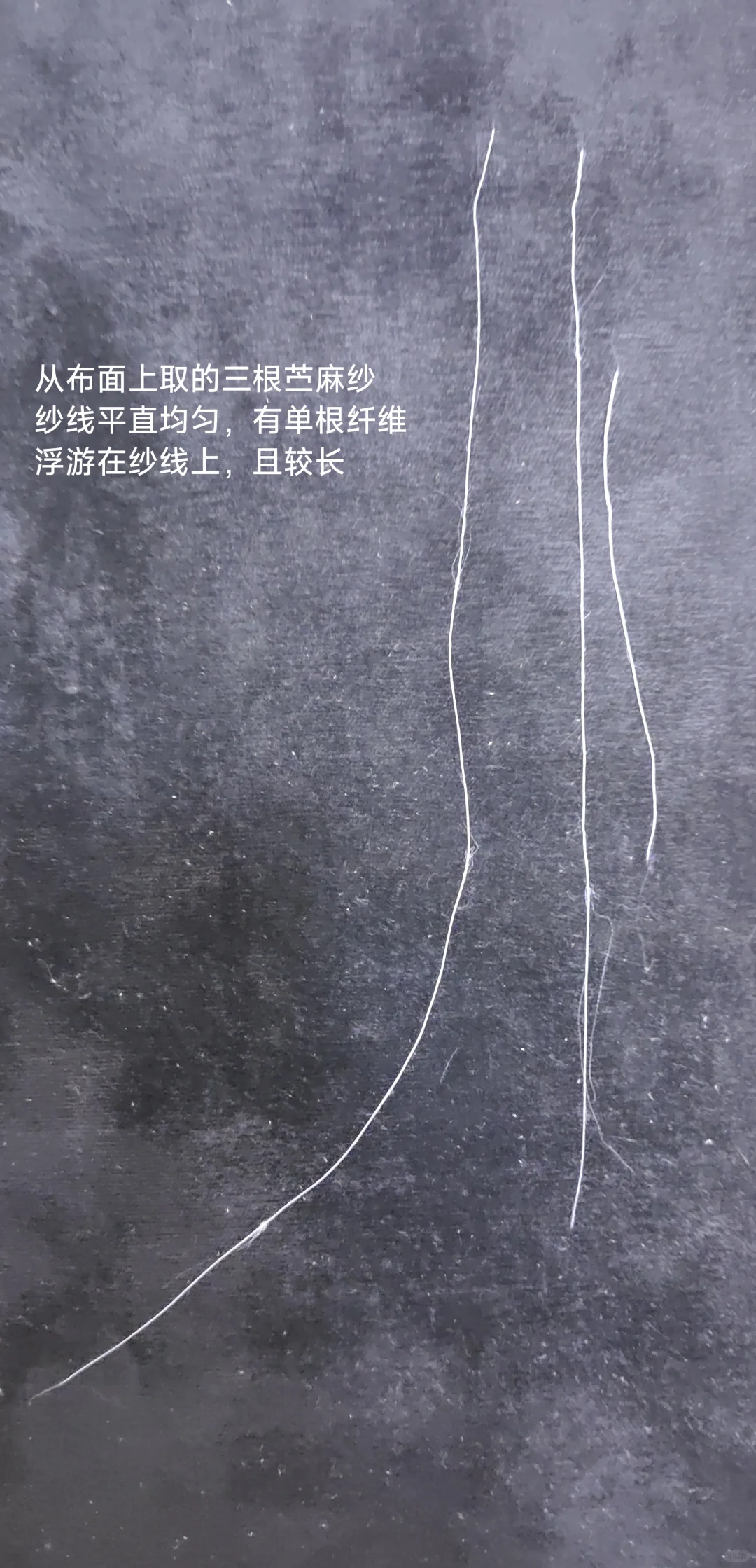 你的衣服真的是苎麻做的吗?一一苎麻鉴别篇