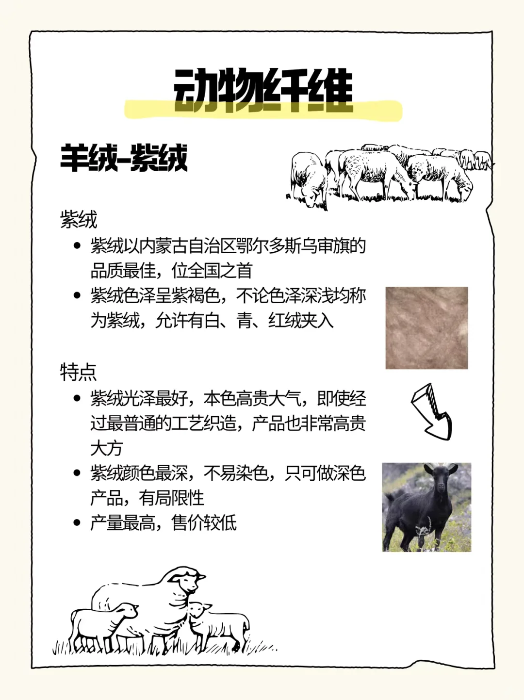 原材料‖动物纤维(羊绒)