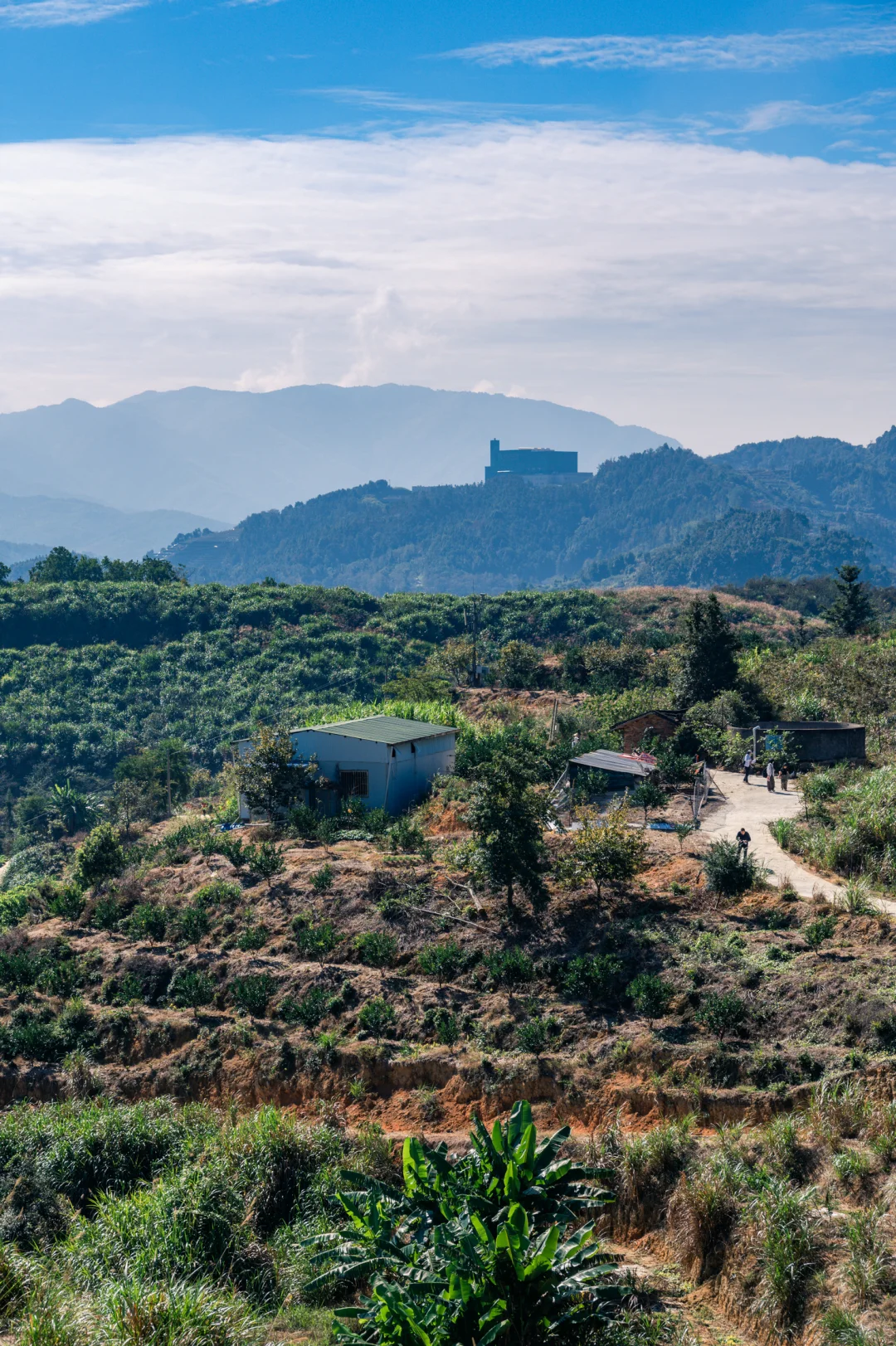 何峰山-王公山-利洋村的踏秋徒步