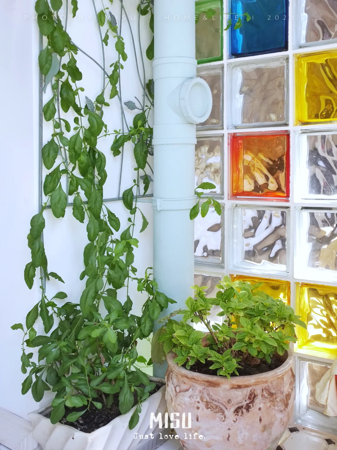 家|阳台复古玻璃砖墙,光线更好房间更显大