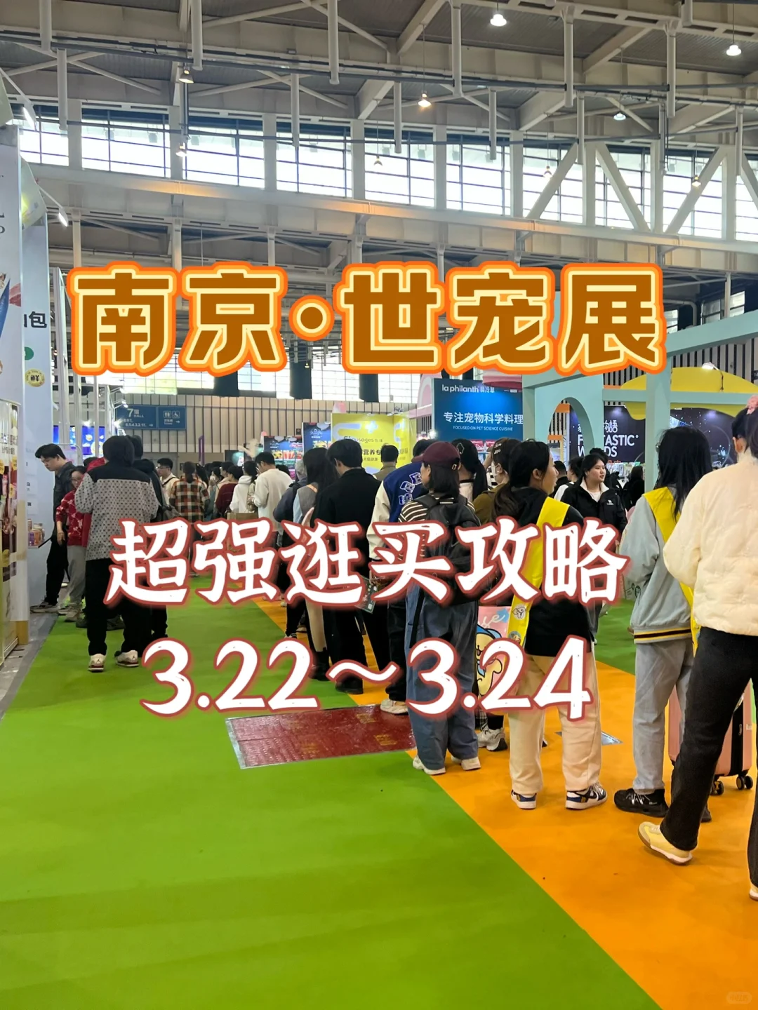 带你薅羊毛-想来南京世宠会的看这里