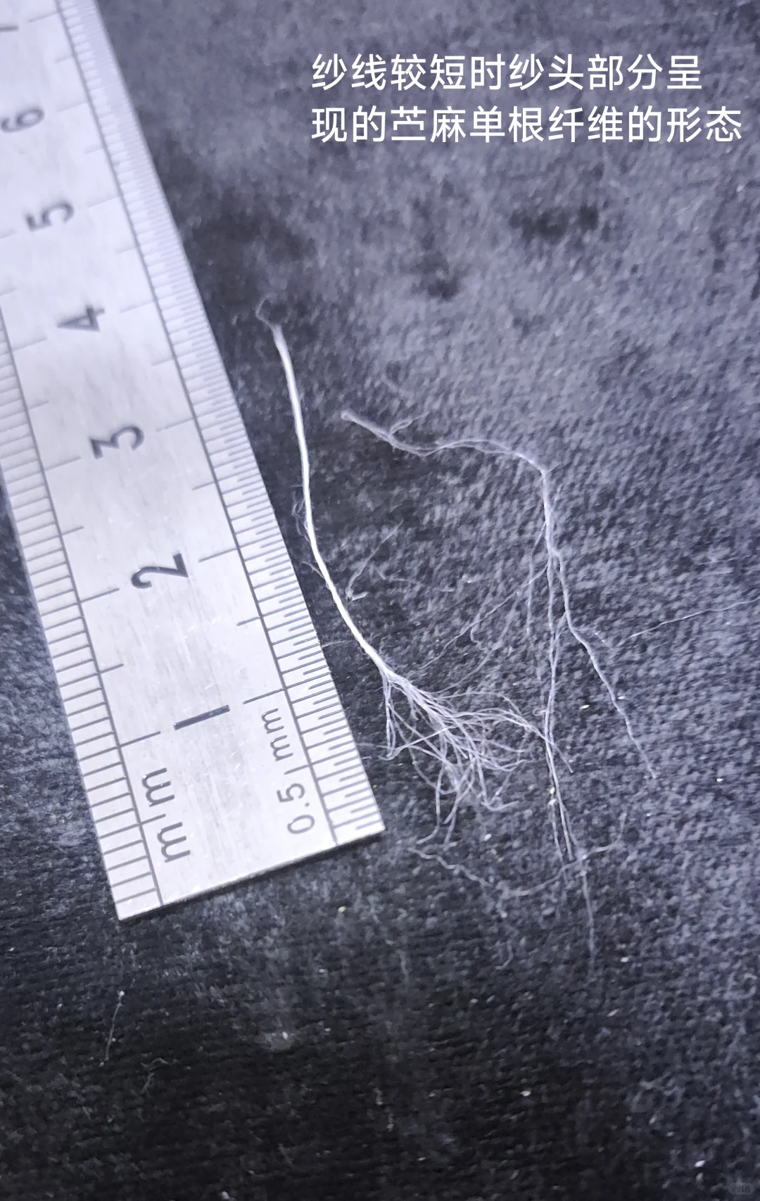 你的衣服真的是苎麻做的吗?一一苎麻鉴别篇