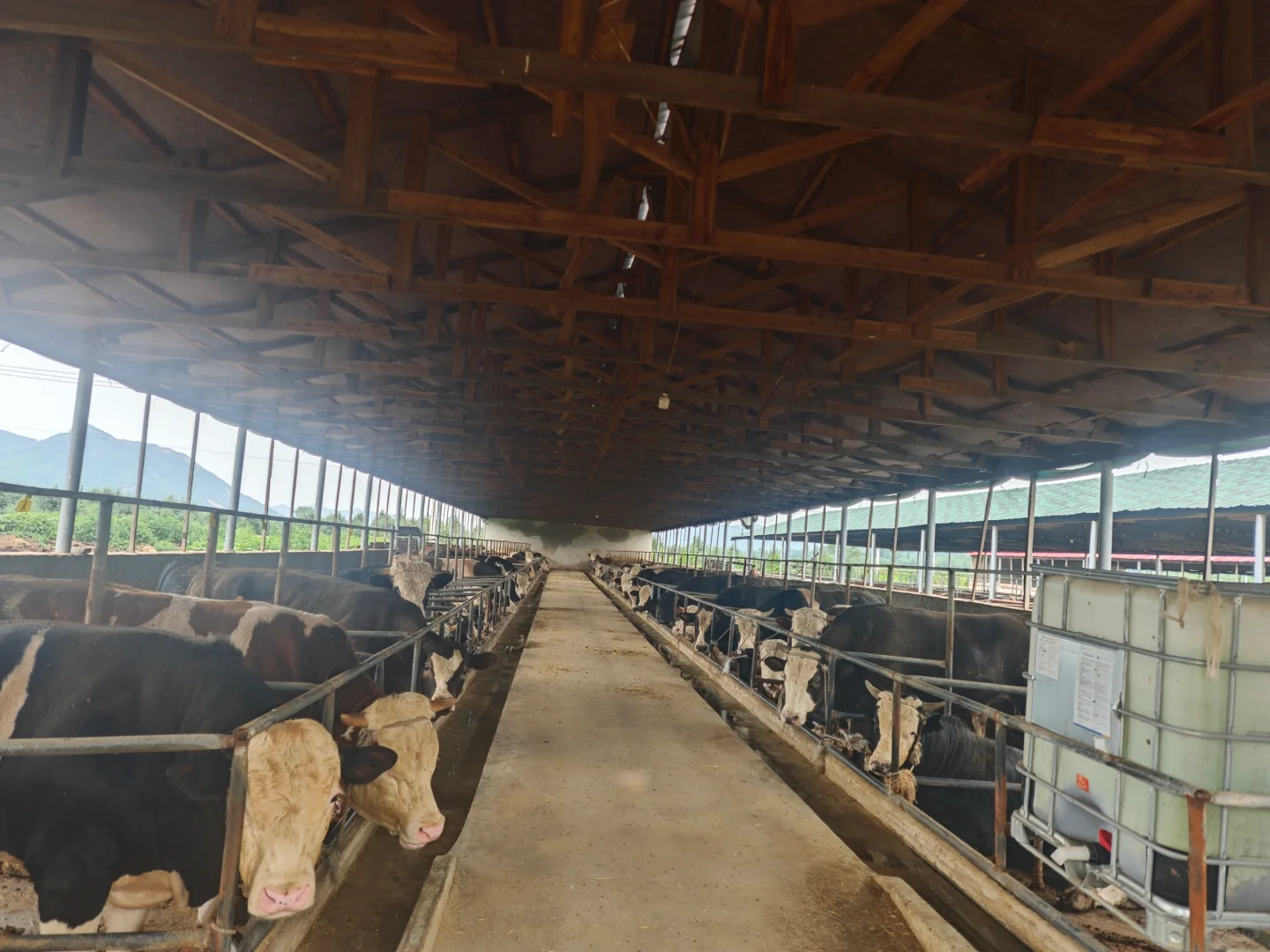 被农户骗太多次后，干脆自己开养殖场?