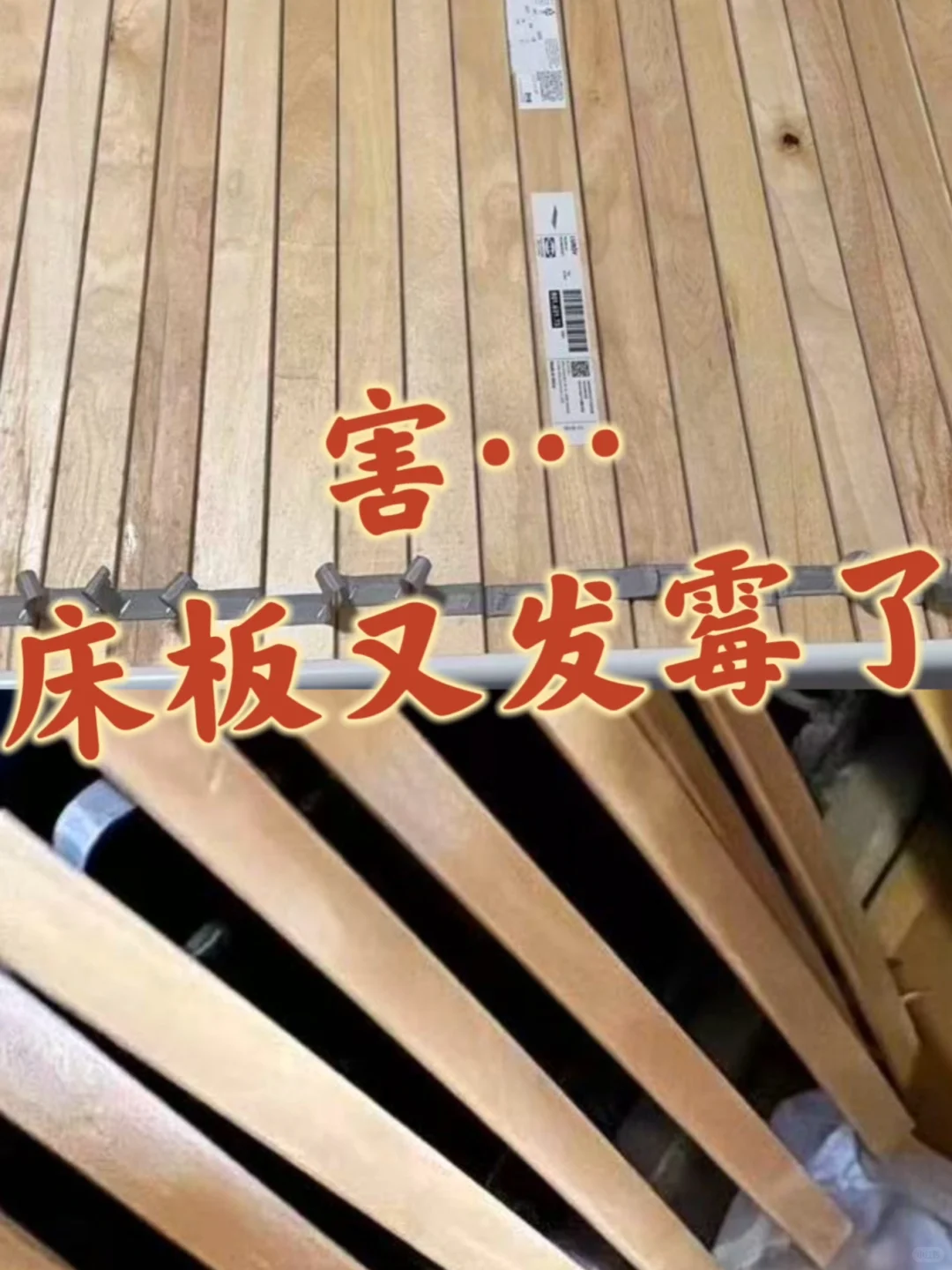 这样处理床板，再也不怕梅雨天?️
