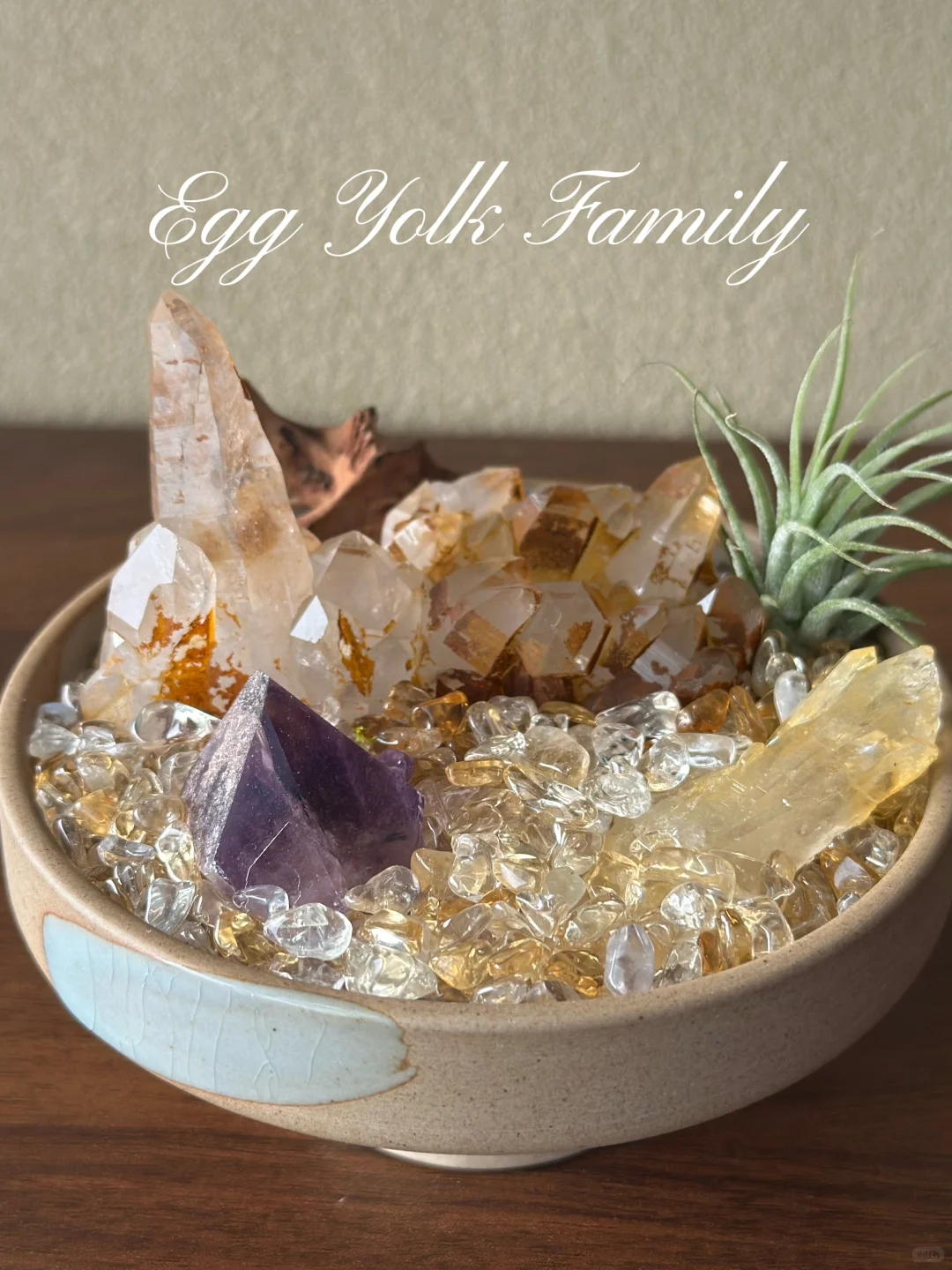 你更喜欢哪个呢✨