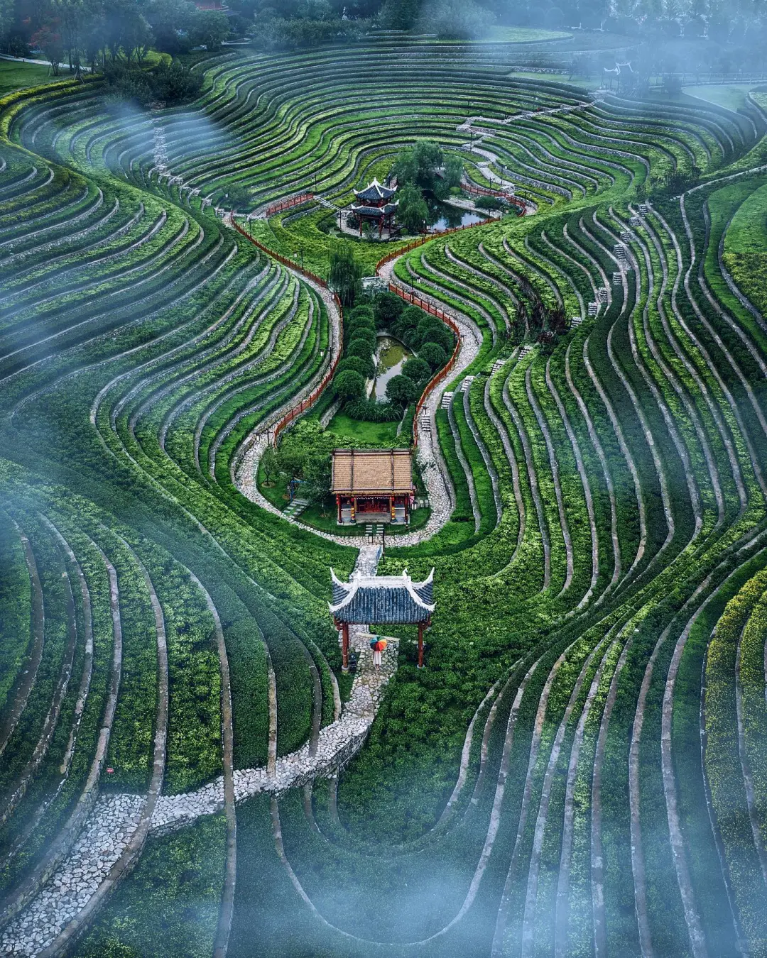 【摄影审美提升】YouKnowCYC作品解析