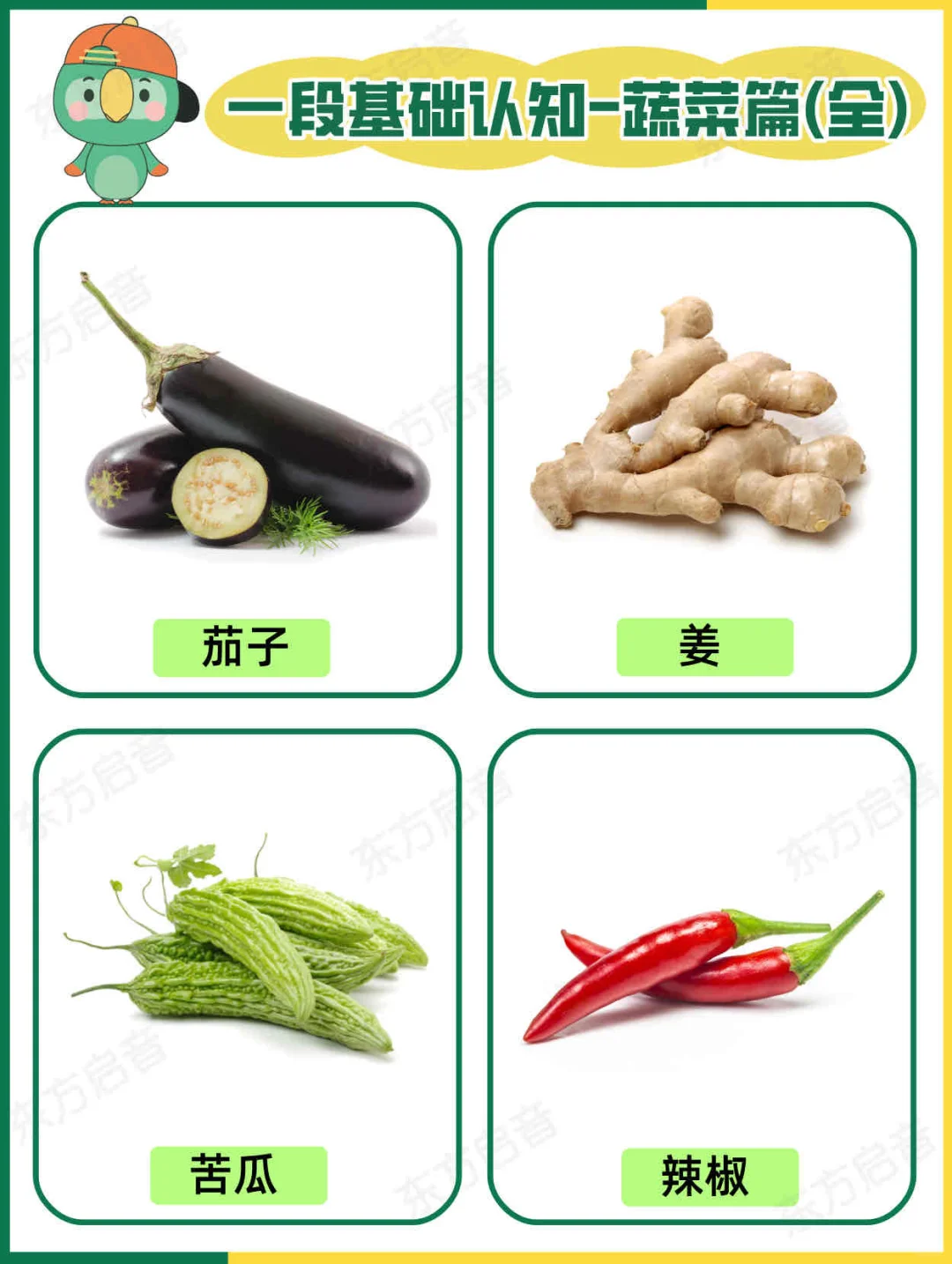 ?自闭症宝宝一段基础认知｜蔬菜篇（全）?