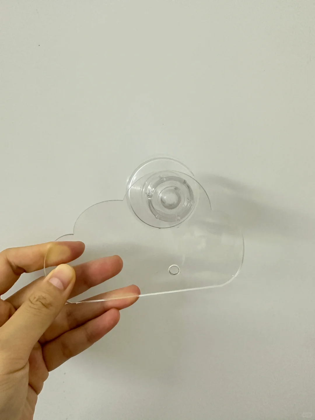 给鹦鹉做网上超火的吸盘站棍