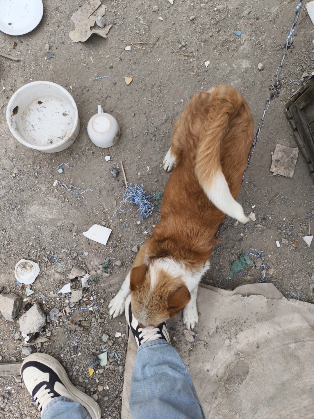 博山惊现陶瓷玻璃捡漏王!1元起抢疯