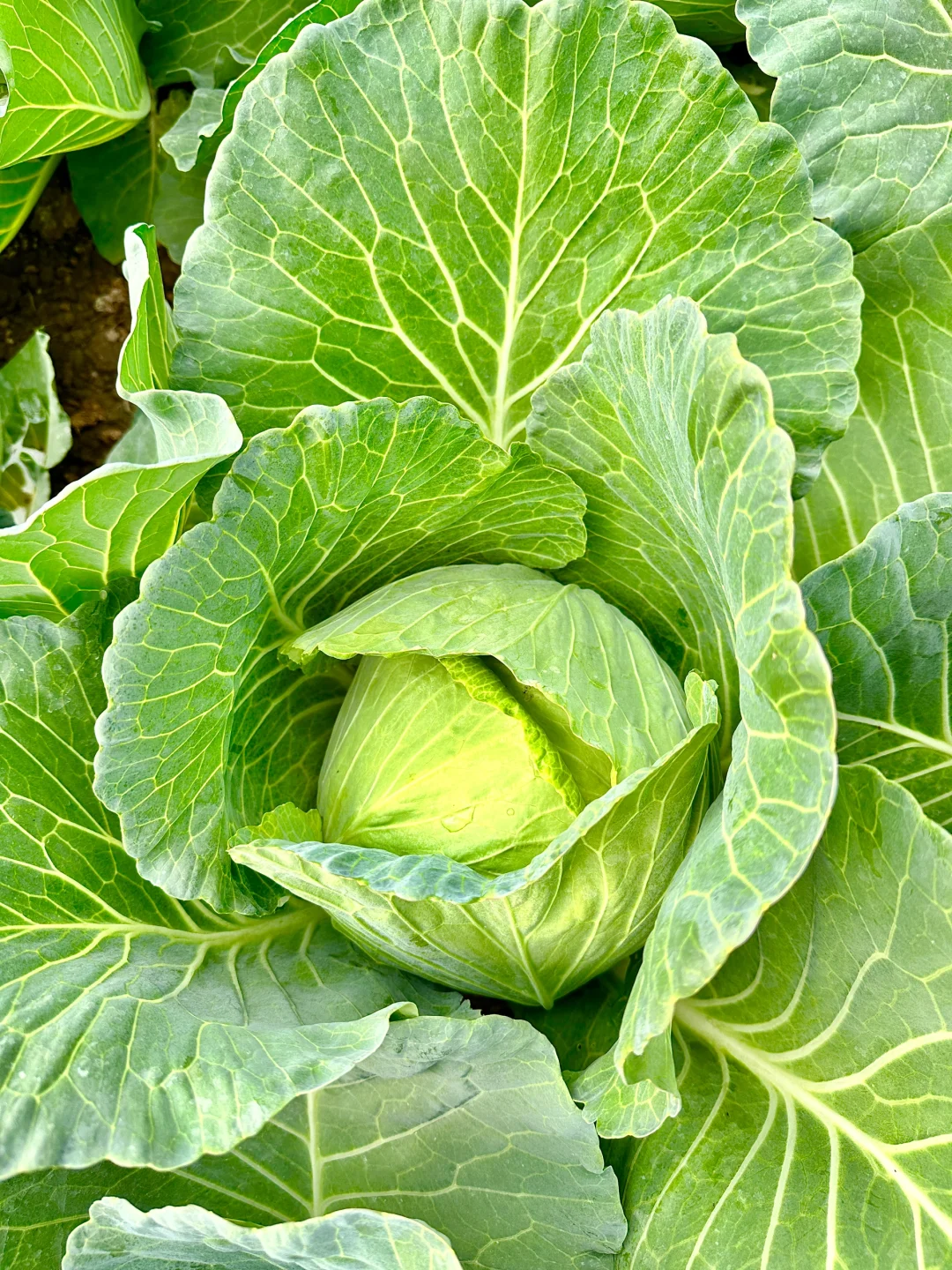 大自然的馈赠???????️