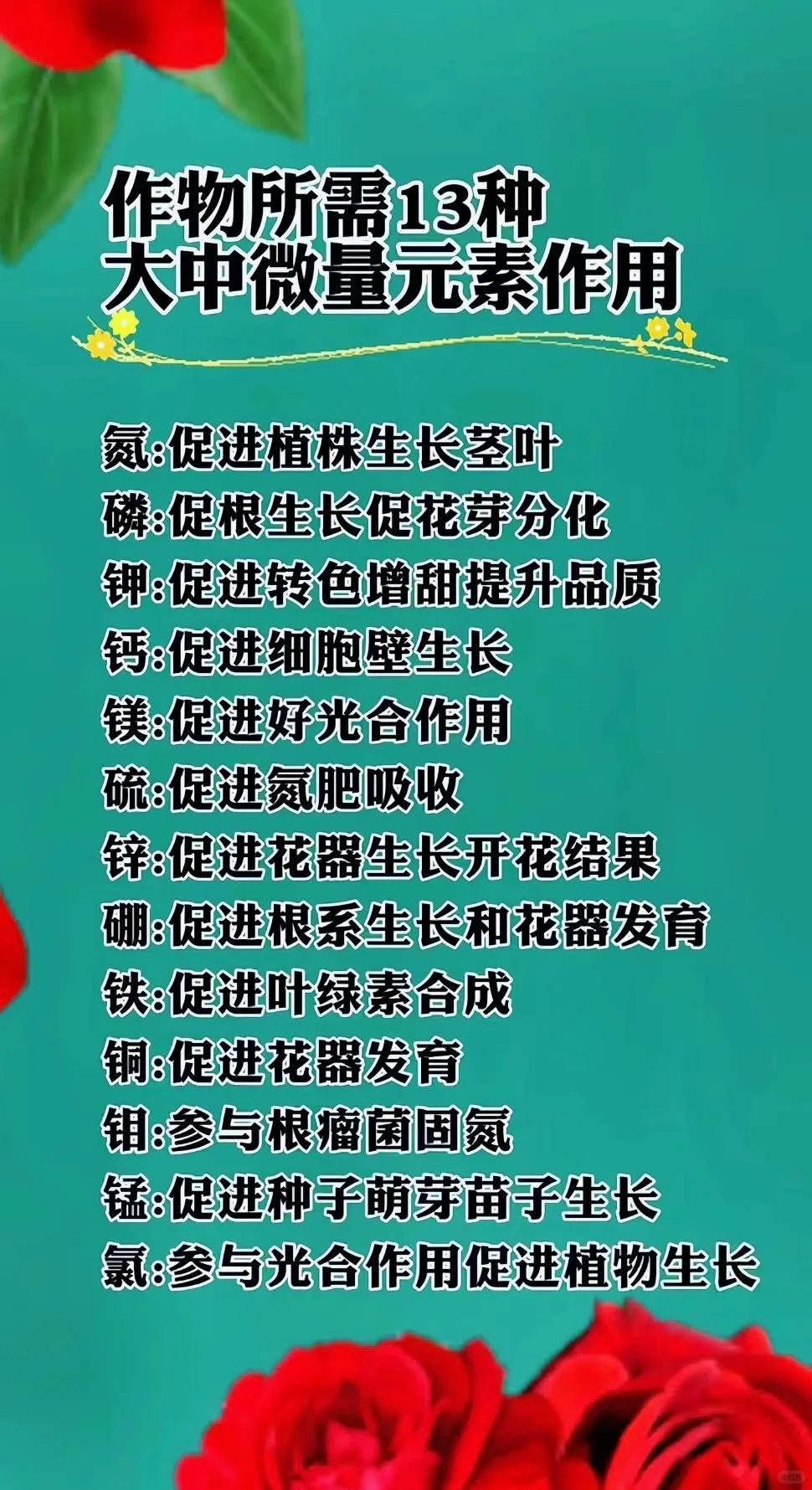 如何正确使用大量元素水溶肥