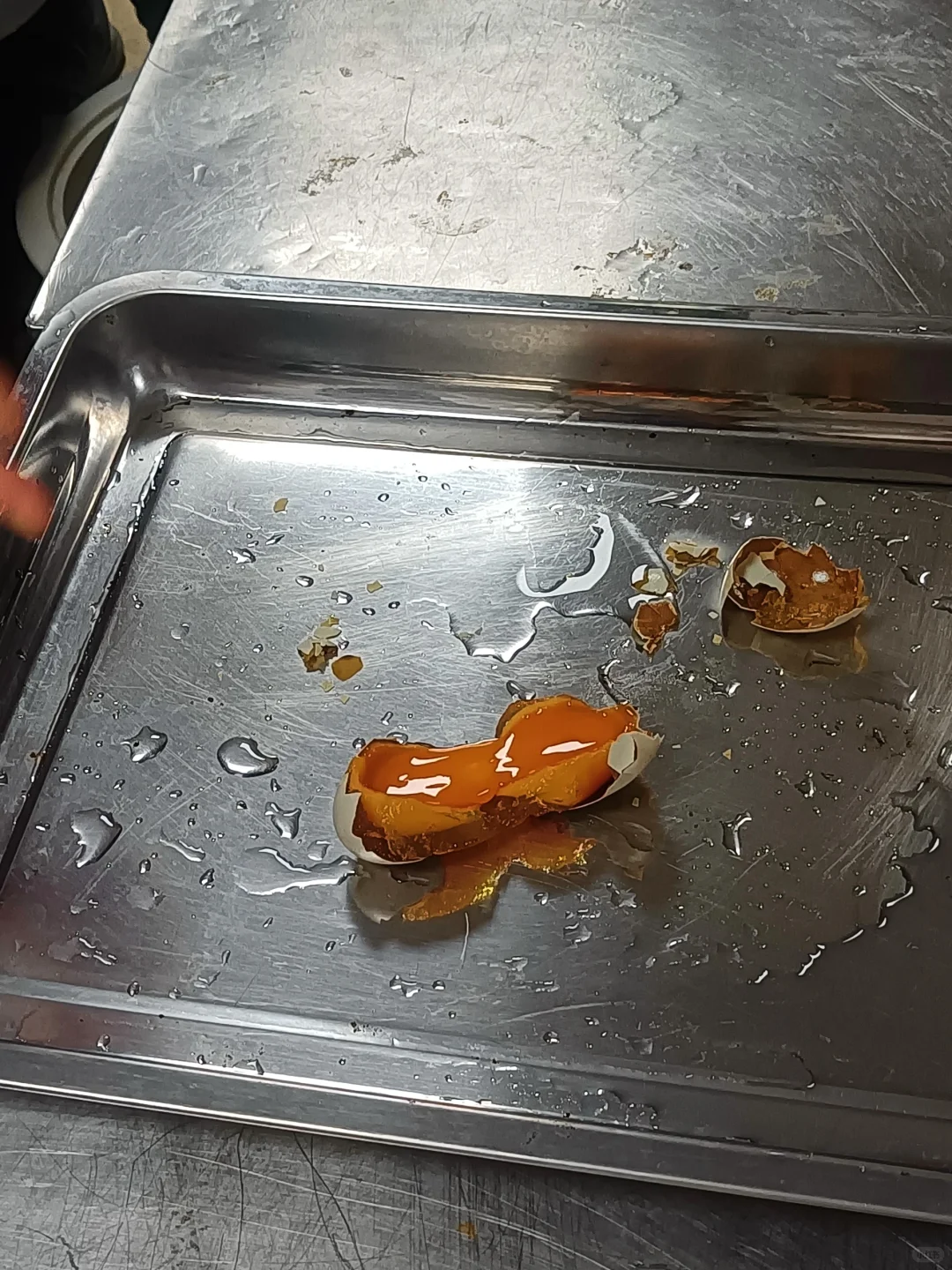 食品专业畜产品实验