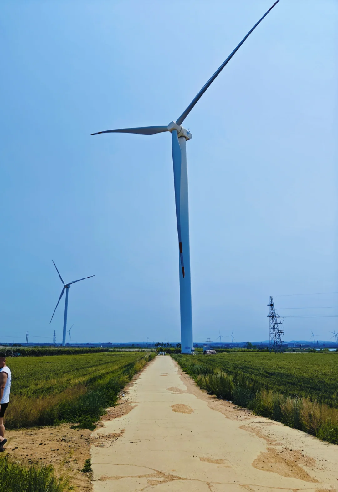 这个风力发电我真的爱了?