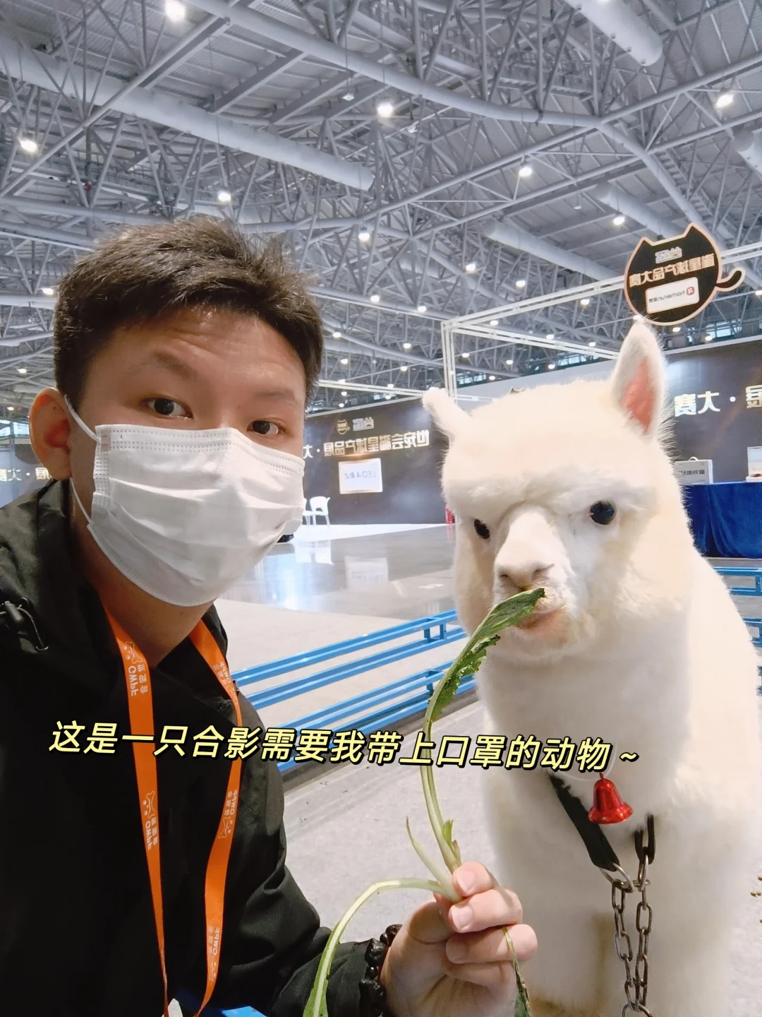 00后不上班，去“动物园”打工是为了什么？