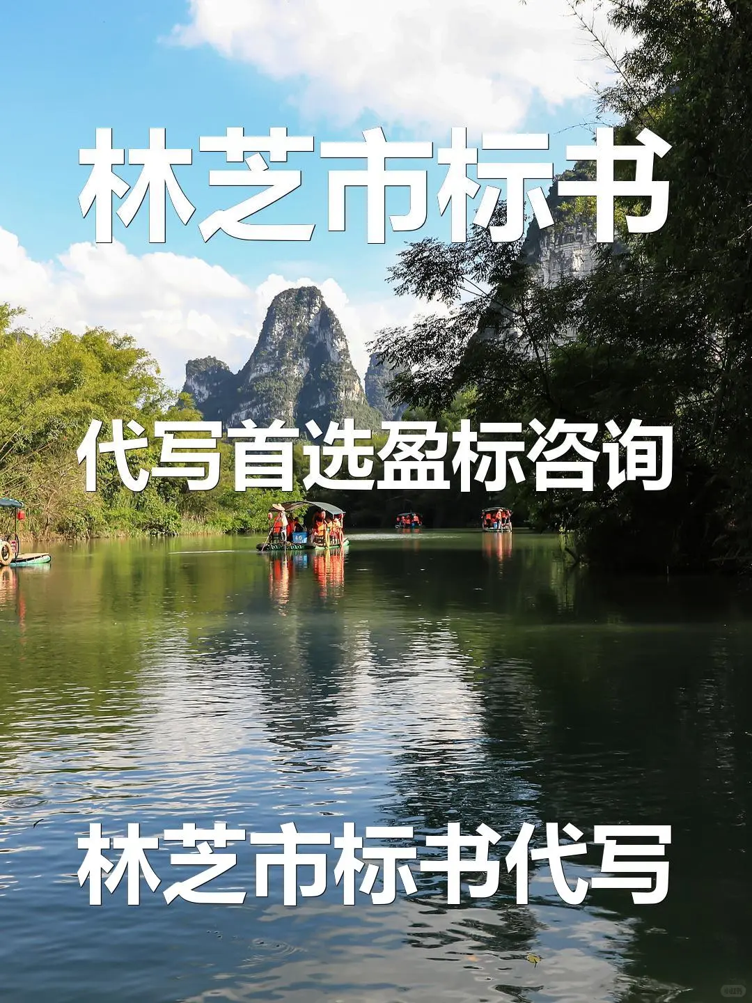 林芝市标书代写首选盈标咨询