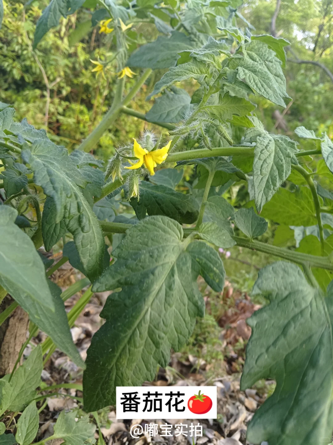 怕你们城里人没见过这些…