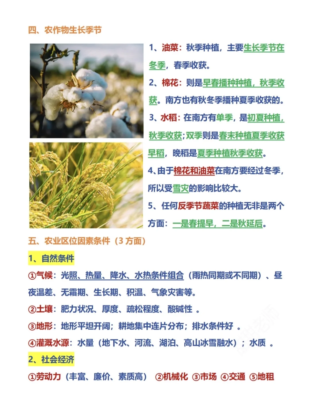 高考地理之农作物！超详细超有用❗️❗️