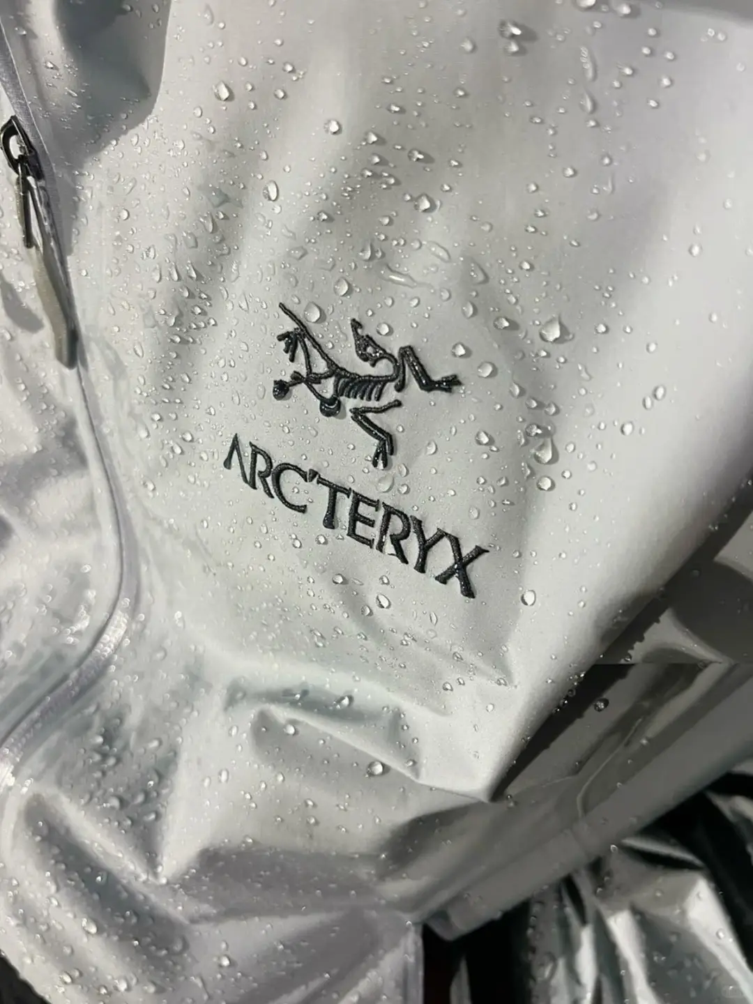 鸟的防水 果然强的可怕!