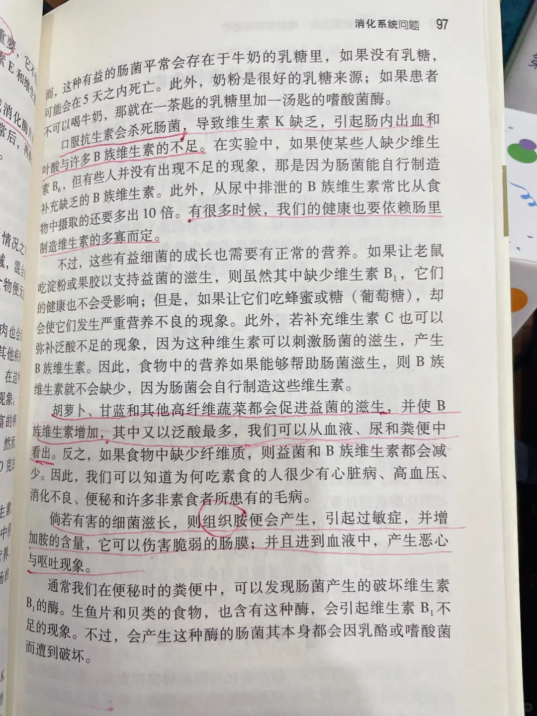 用好B族维生素,消化问题好大半,亲测有效