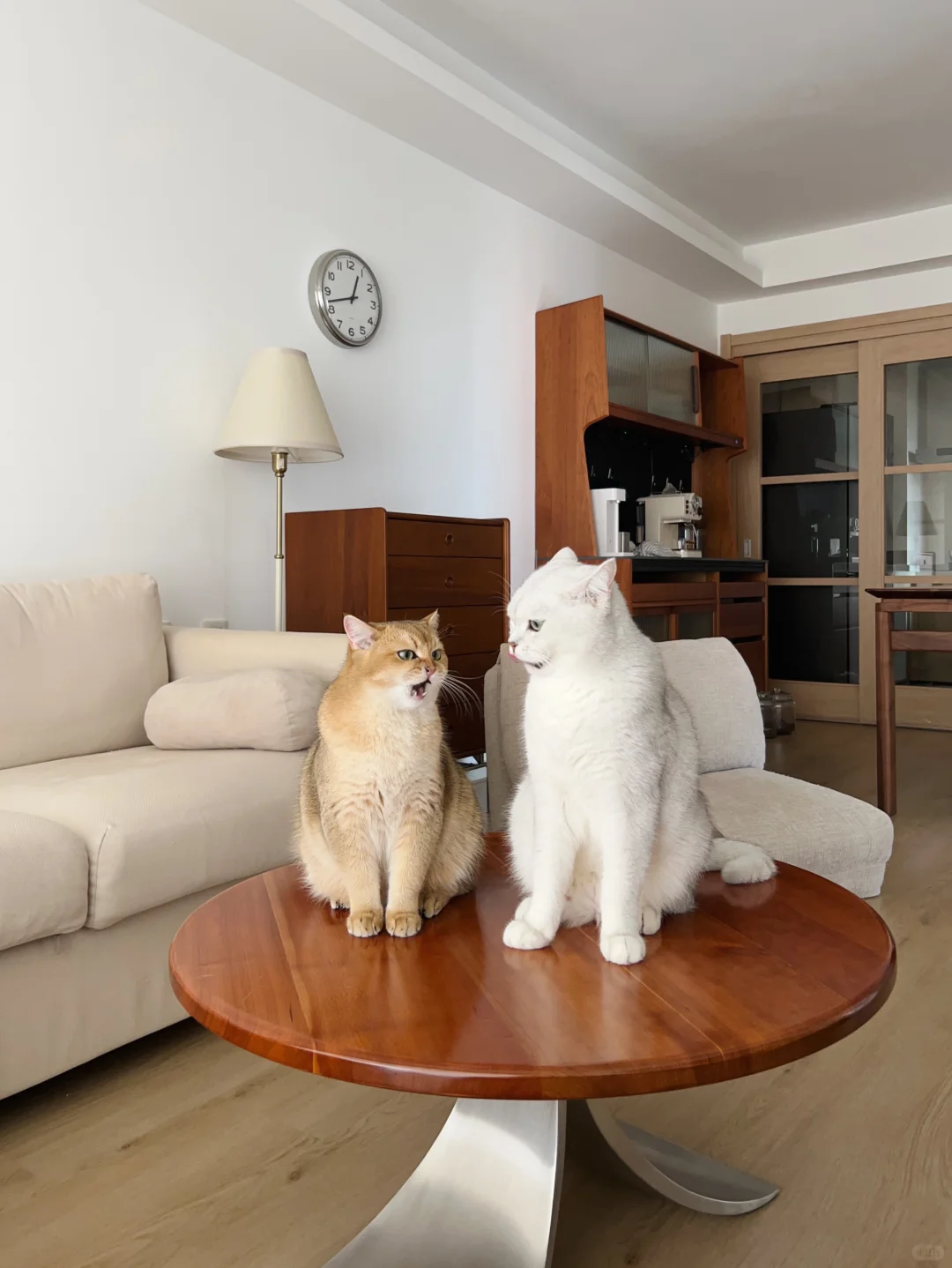 少物真的很方便