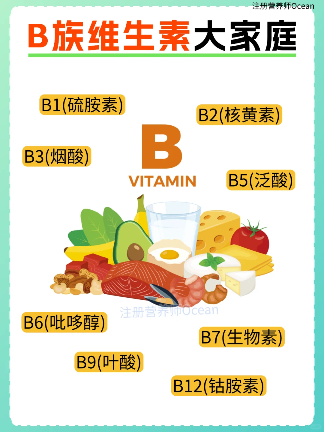 一篇全了解丨强大的B族维生素