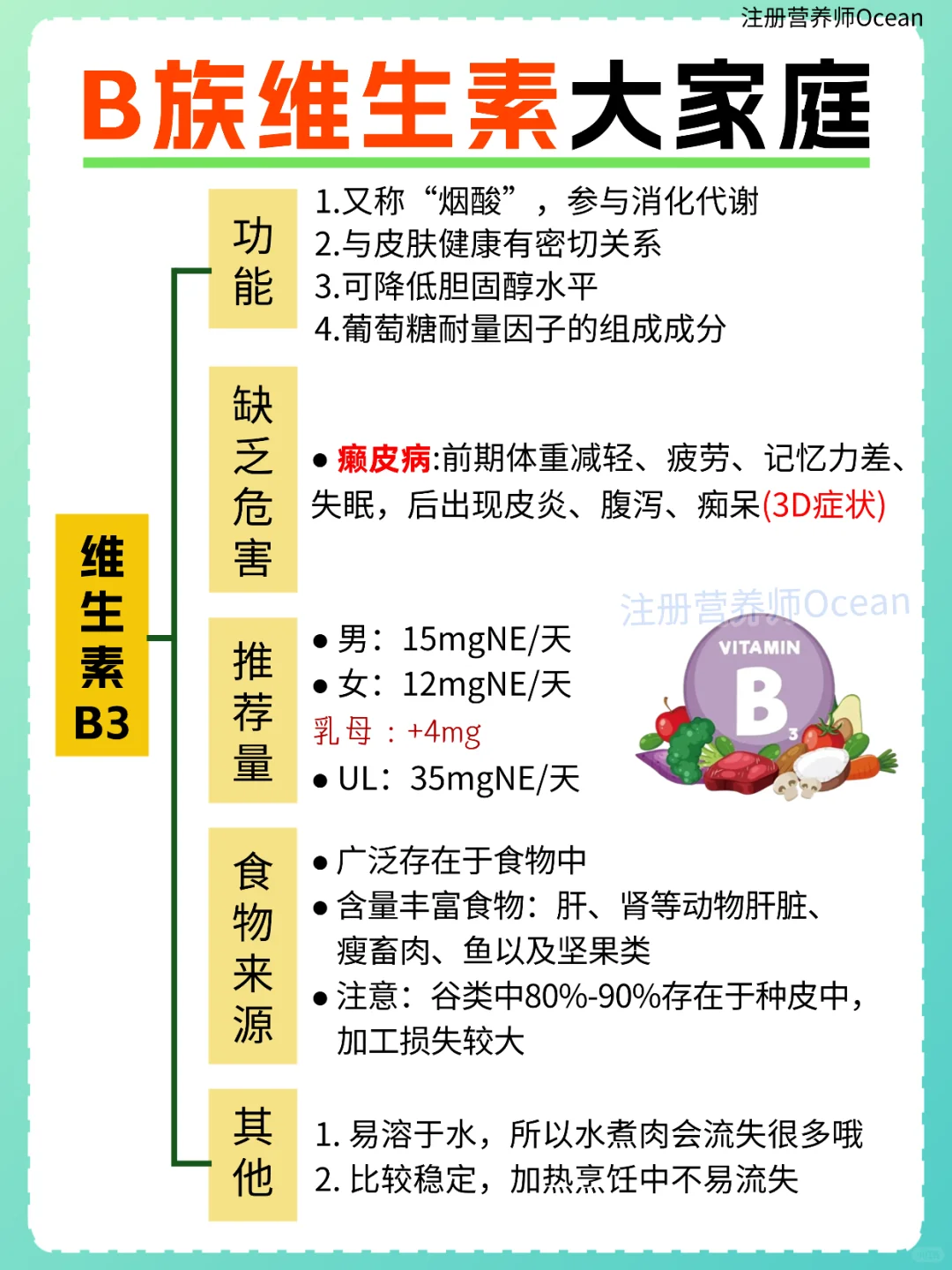 一篇全了解丨强大的B族维生素