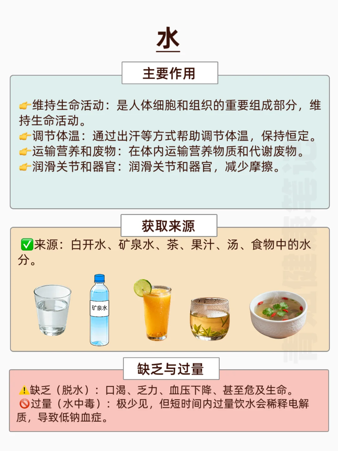 ?7大营养素大揭秘，健康饮食必修课！