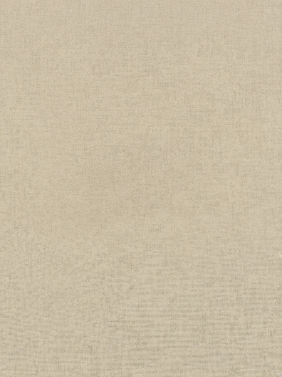 Day67｜米黄色布纹