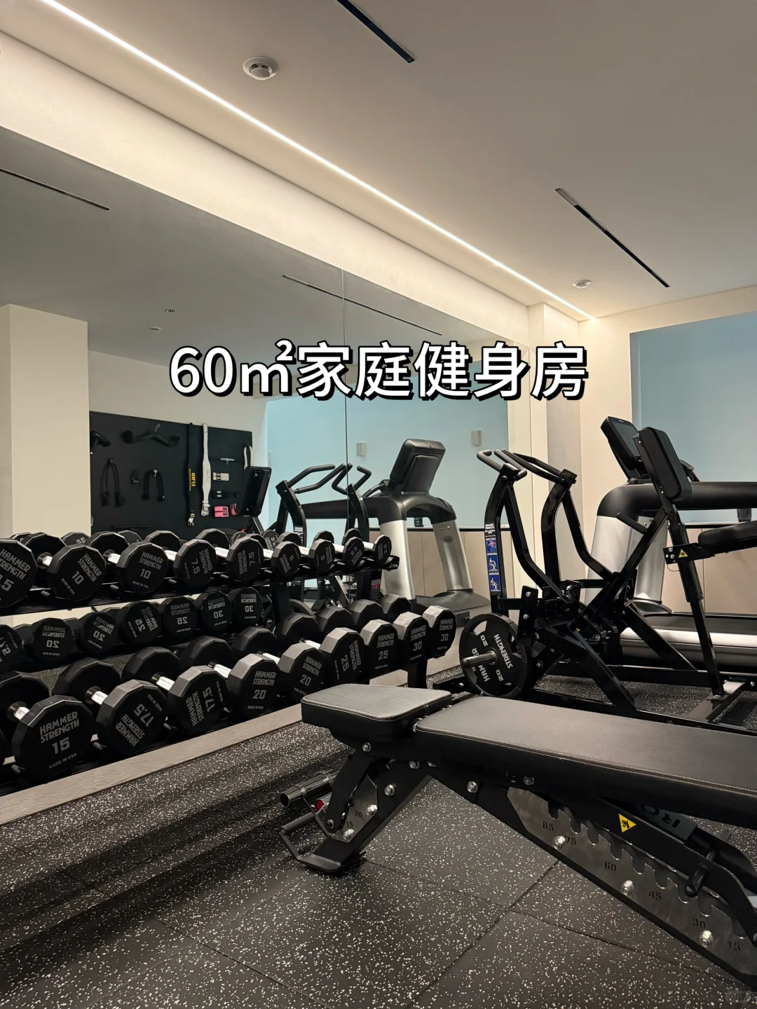 我愿称之为家庭健身房的天花板！